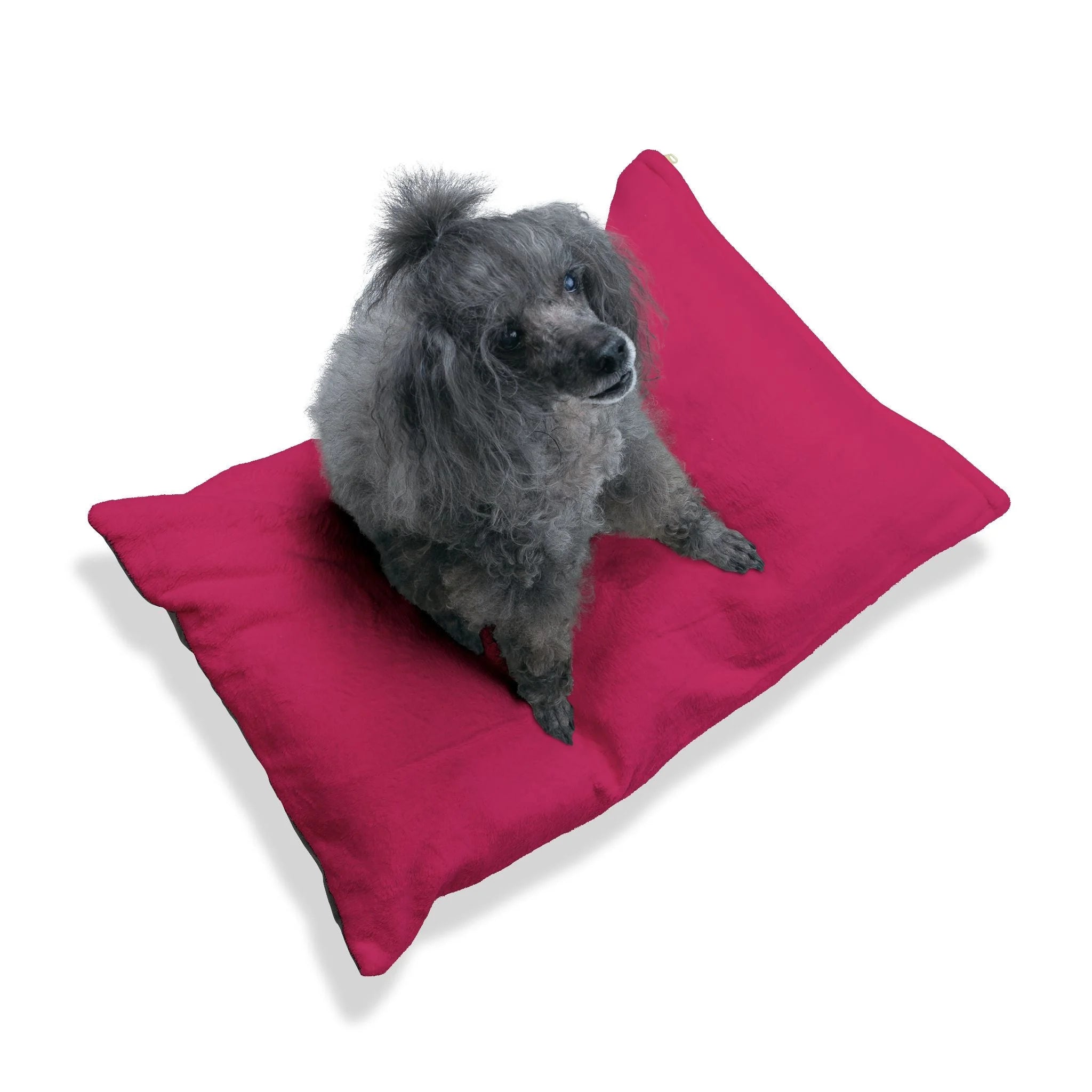Buy The Best By Artsulli x Color Printify - Pet Bed - 2025