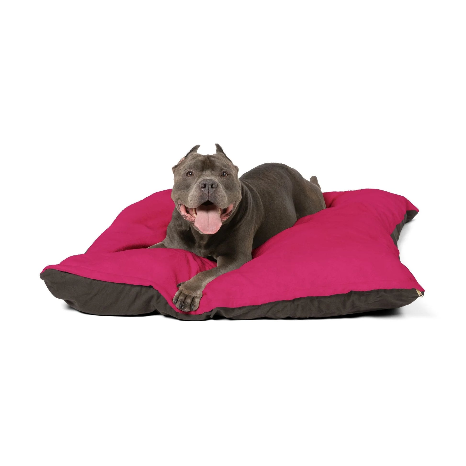 Buy The Best By Artsulli x Color Printify - Pet Bed - 2025