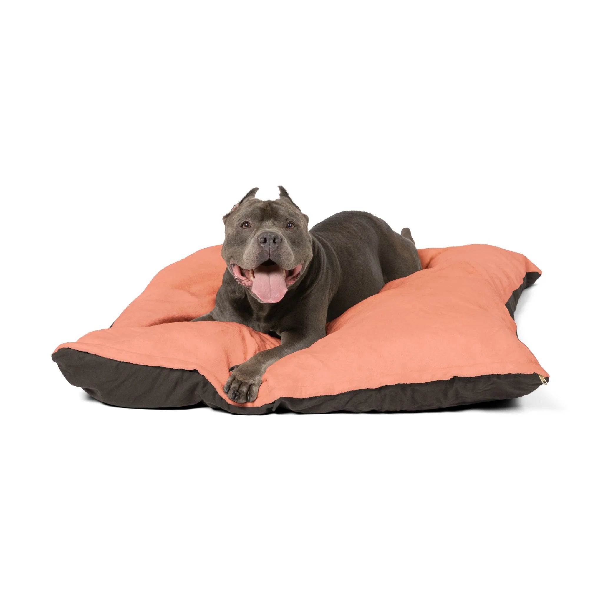 Buy The Best By Artsulli x Color Printify - Pet Bed - 2025