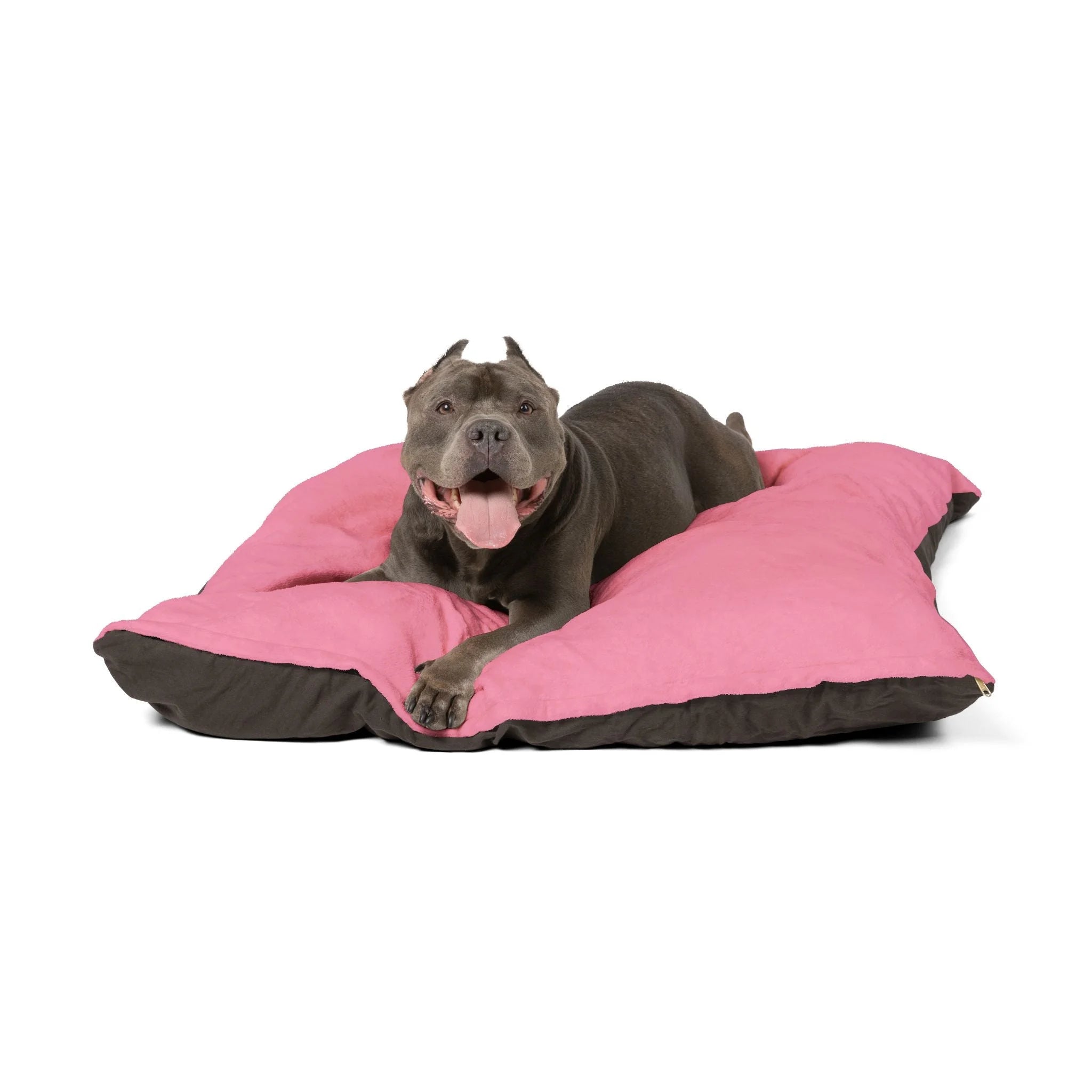 Buy The Best By Artsulli x Color Printify - Pet Bed - 2025