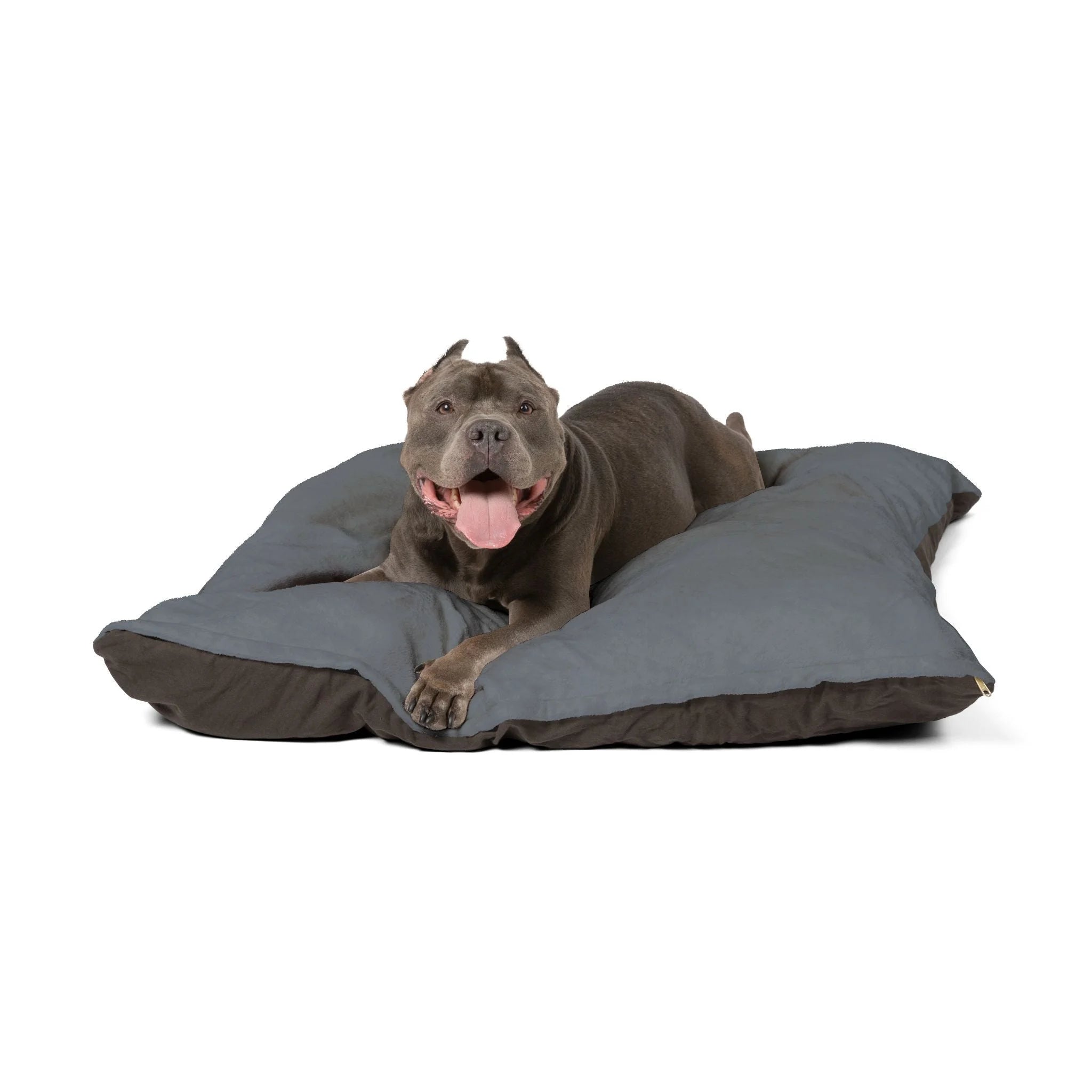 Buy The Best By Artsulli x Color Printify - Pet Bed - 2025