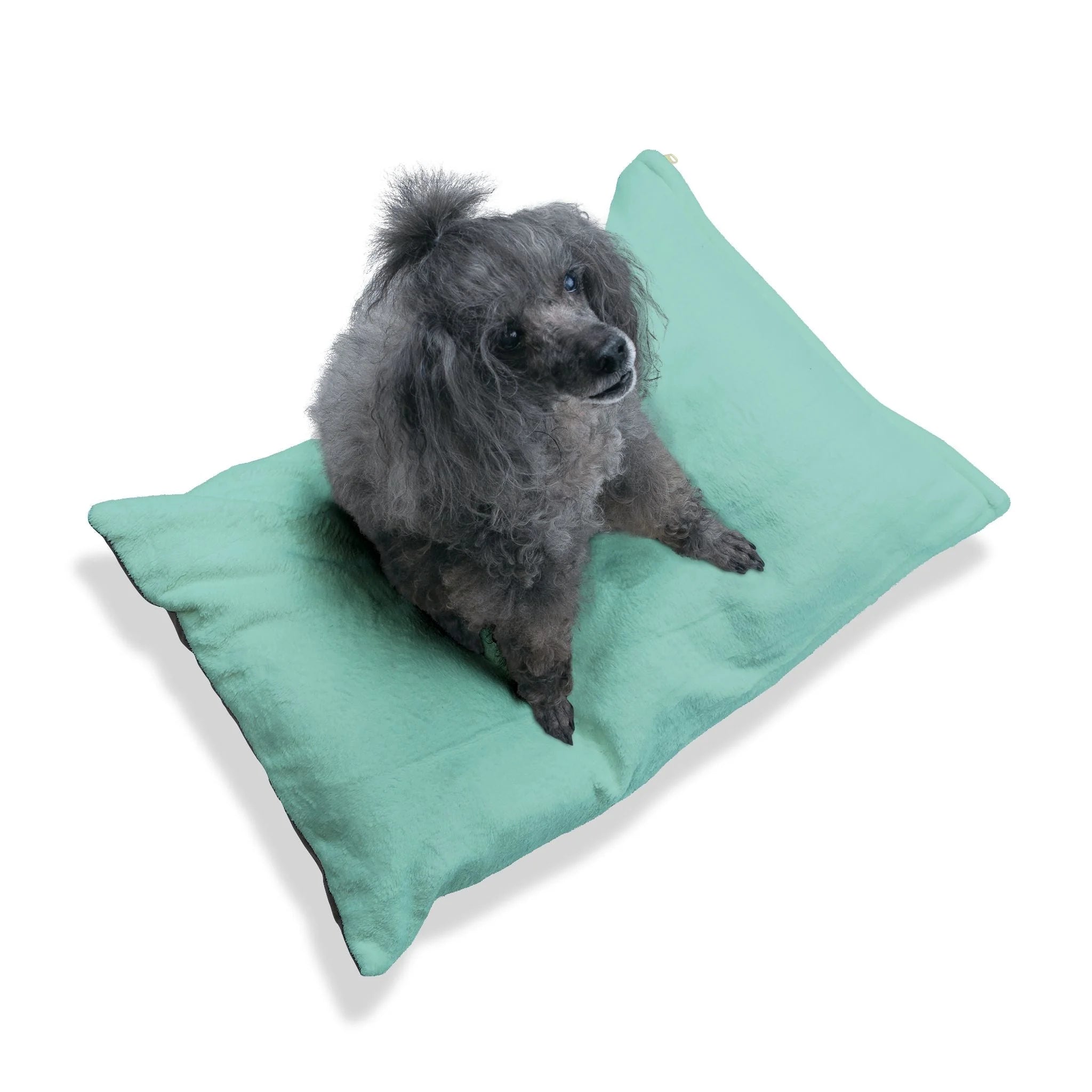 Buy The Best By Artsulli x Color Printify - Pet Bed - 2025