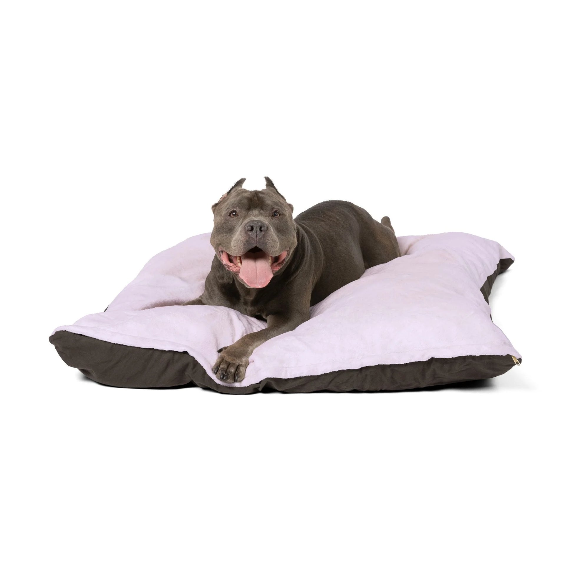 Buy The Best By Artsulli x Color Printify - Pet Bed - 2025