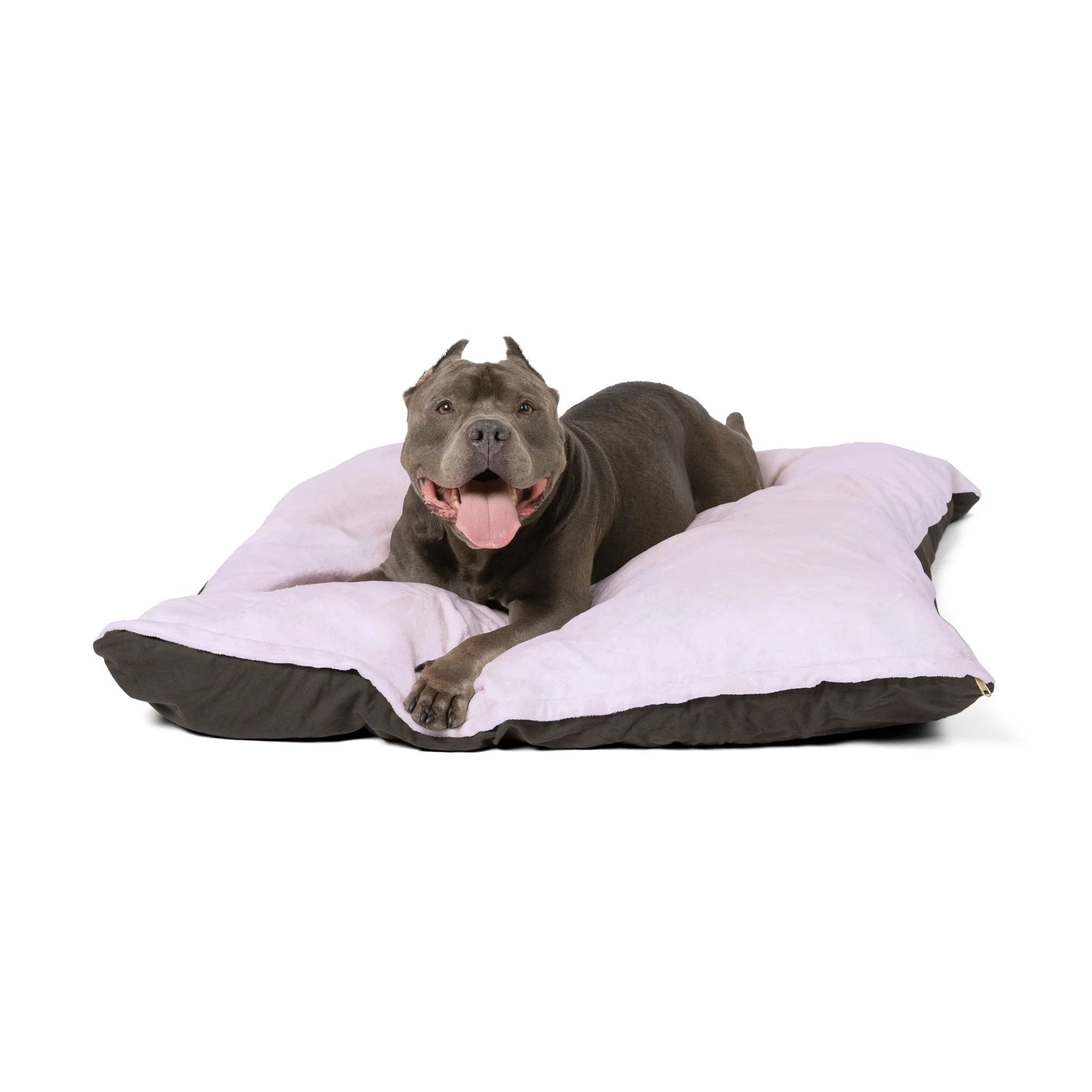 Buy The Best By Artsulli x Color Printify - Pet Bed - 2025
