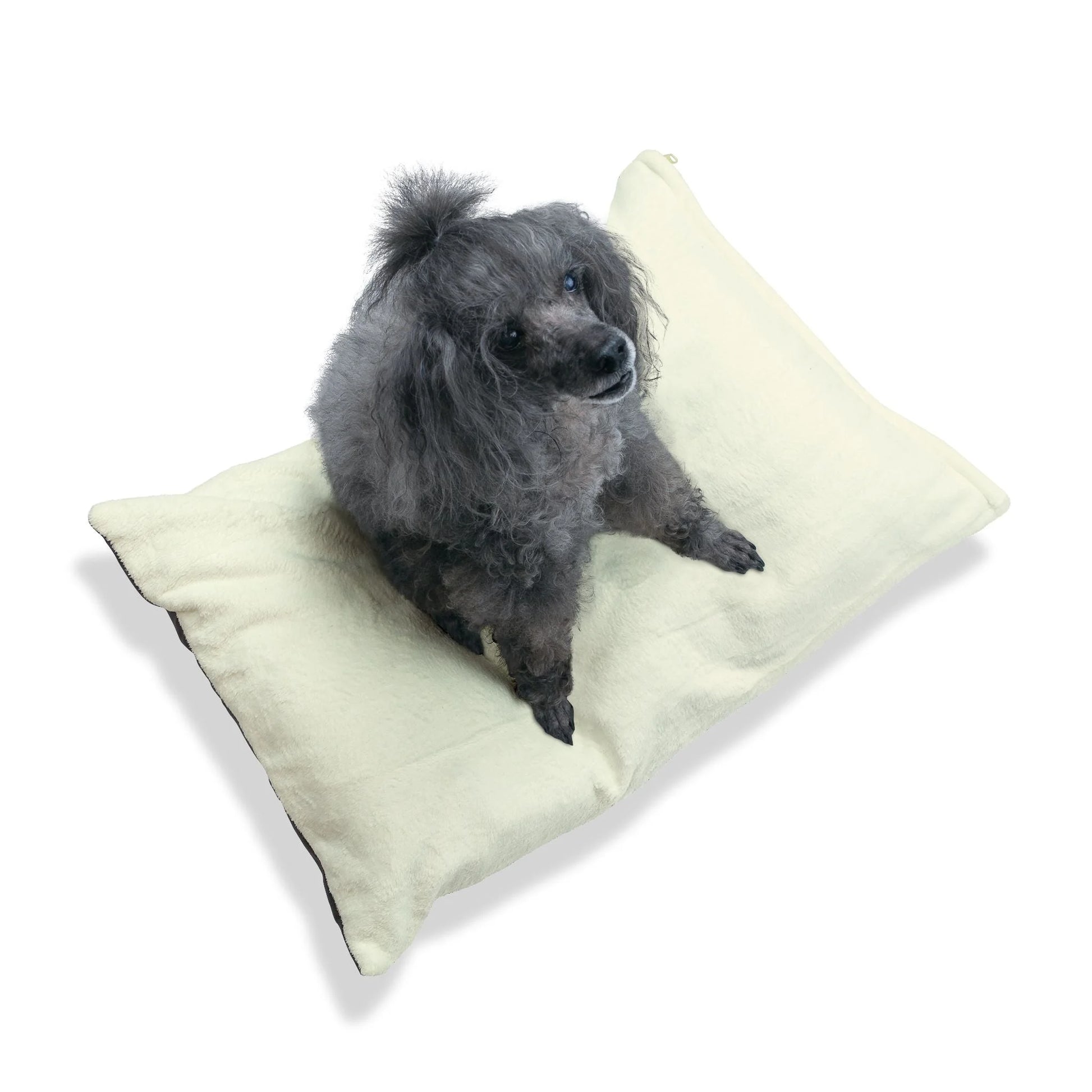 Buy The Best By Artsulli x Color Printify - Pet Bed - 2025
