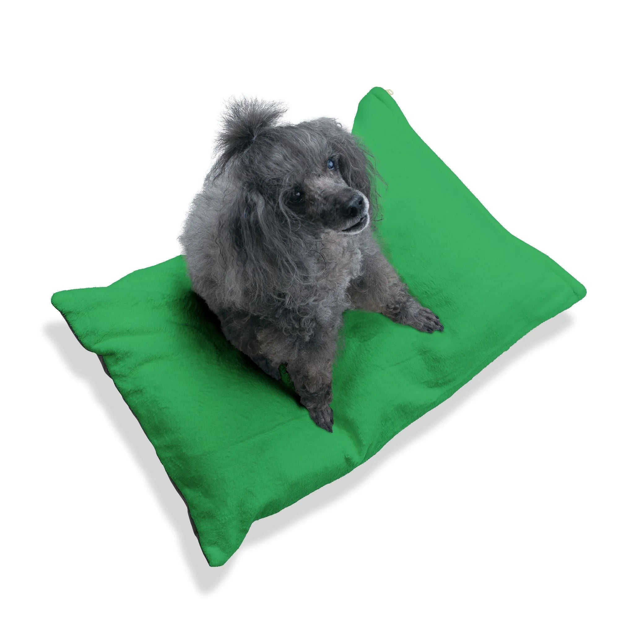 Buy The Best By Artsulli x Color Printify - Pet Bed - 2025