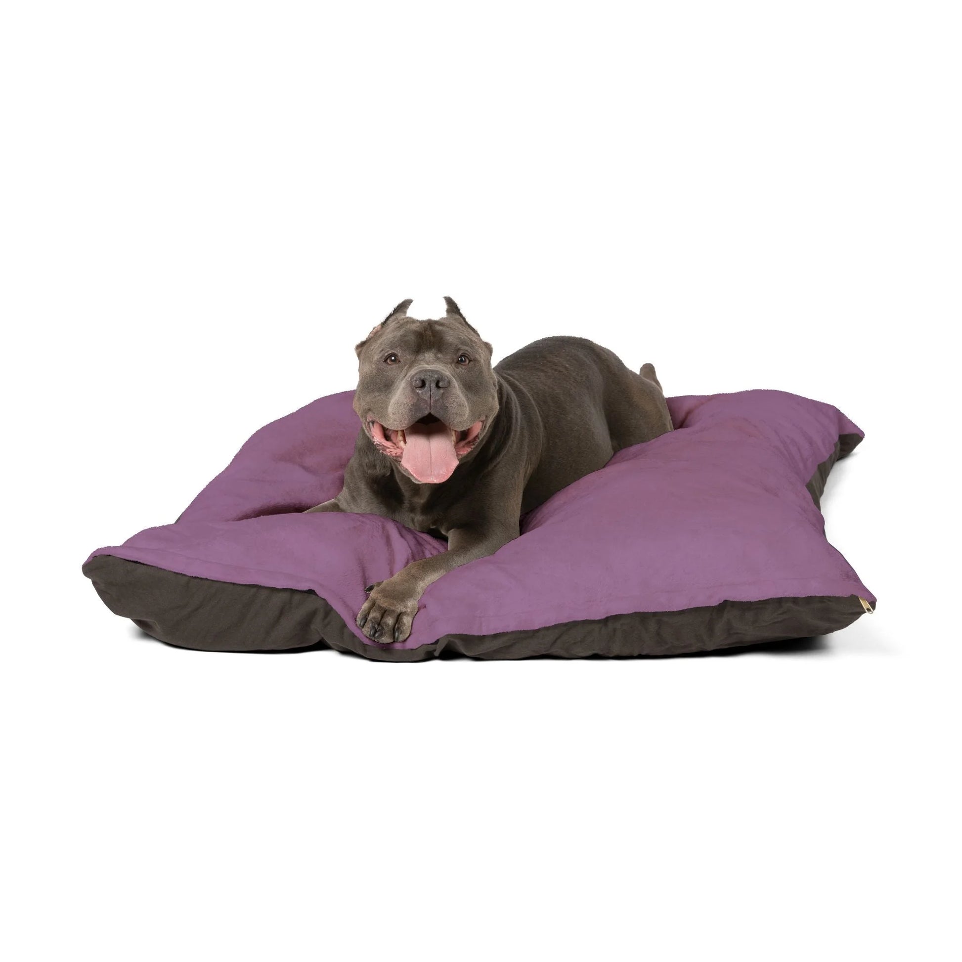 Buy The Best By Printify - Pet Bed - 2025