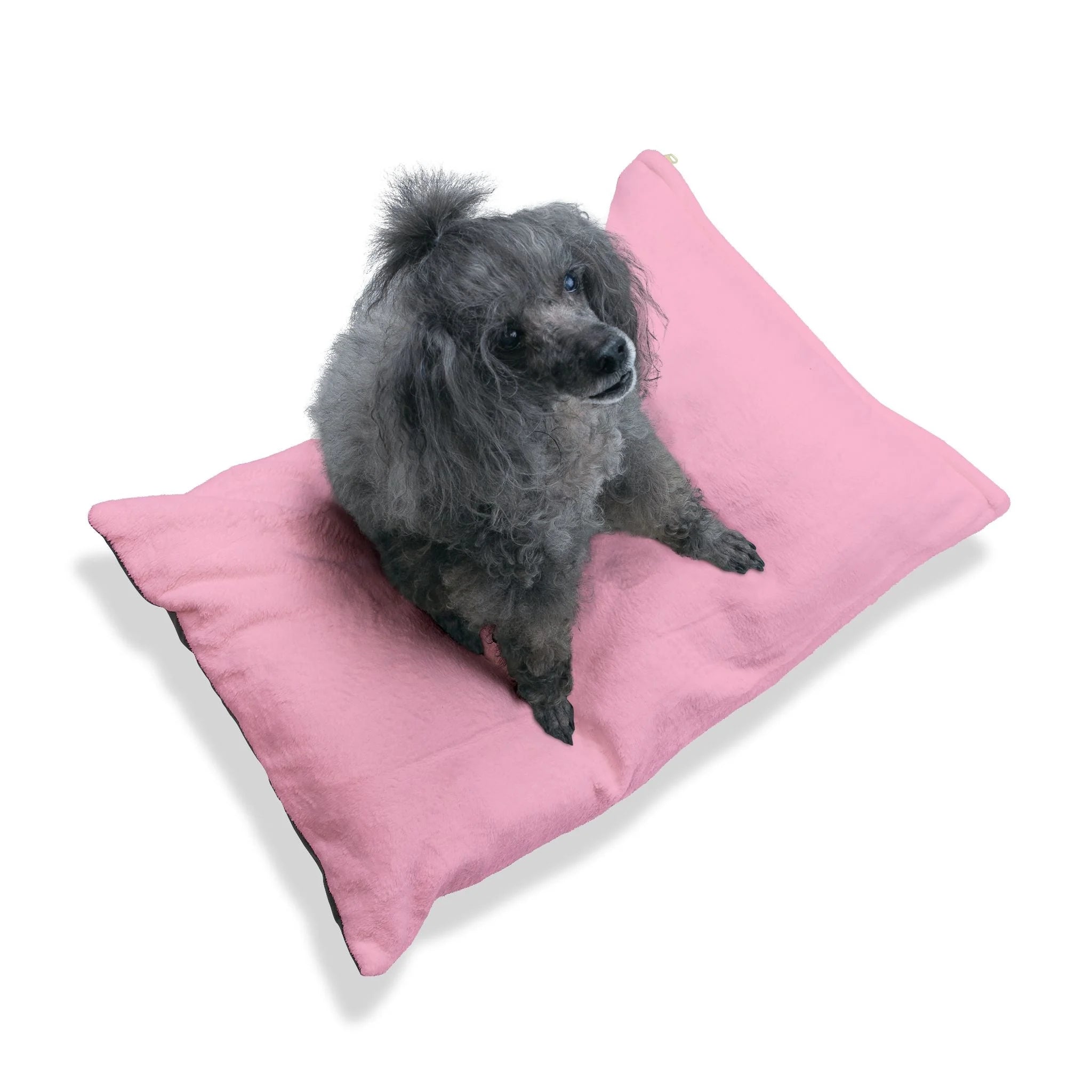 Buy The Best By Artsulli x Color Printify - Pet Bed - 2025