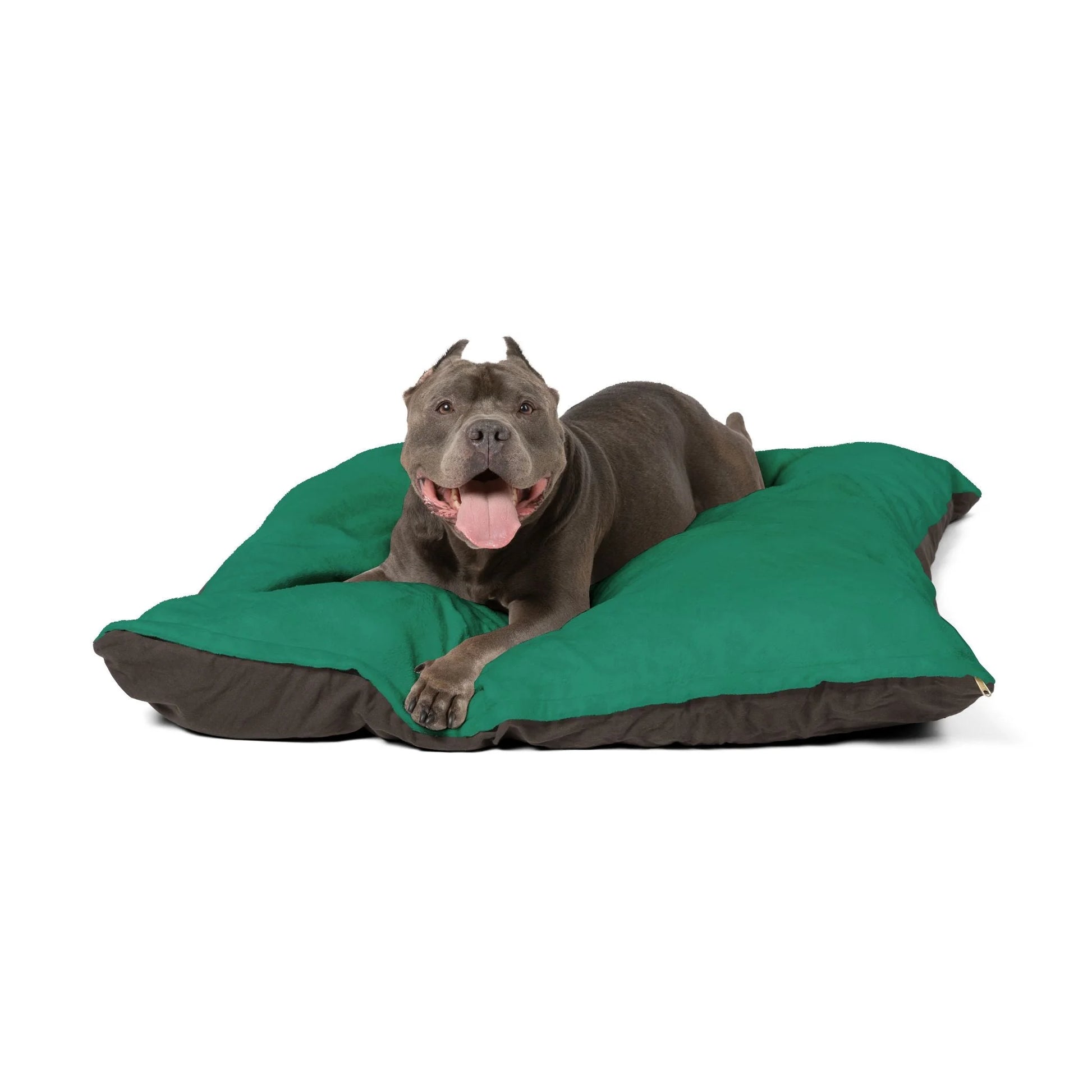 Buy The Best By Artsulli x Color Printify - Pet Bed - 2025