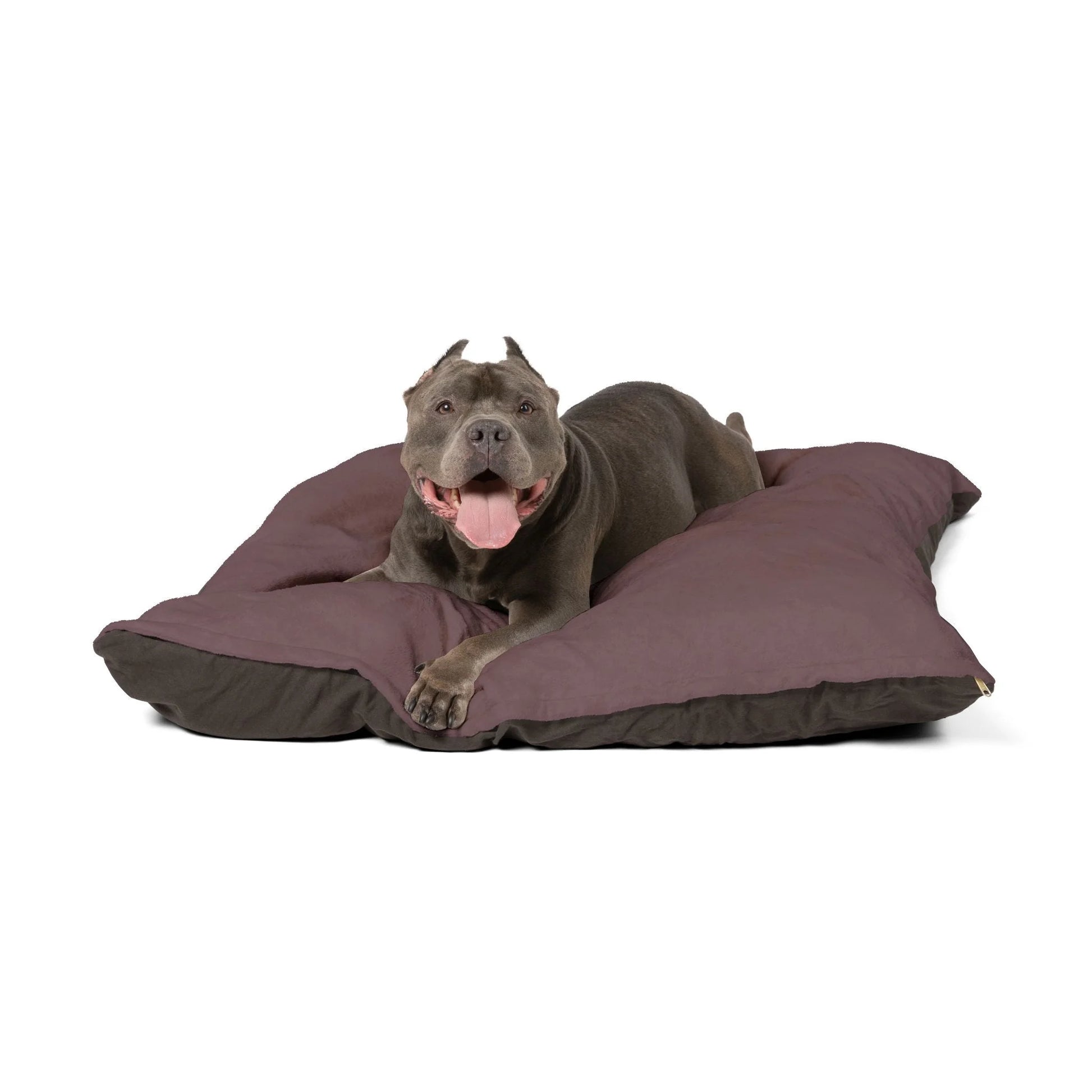 Buy The Best By Printify - Pet Bed - 2025