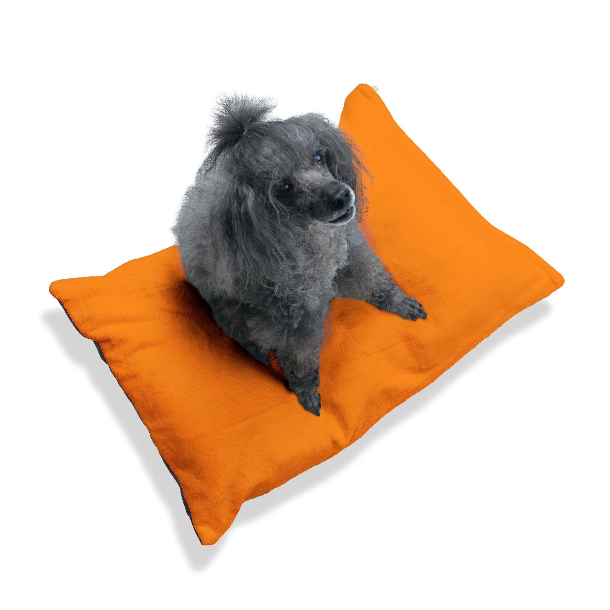 Buy The Best By Artsulli x Color Printify - Pet Bed - 2025