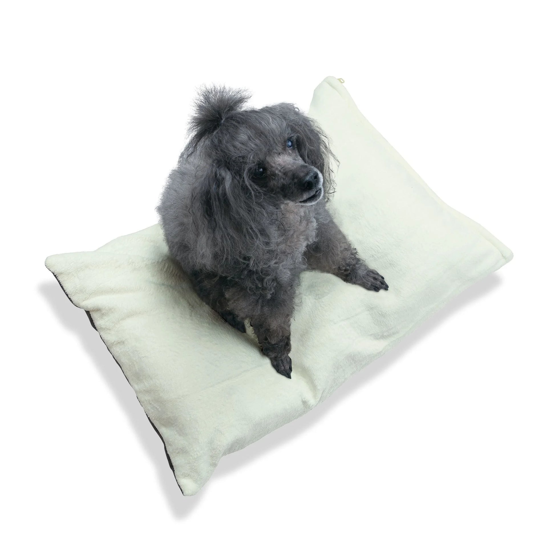 Buy The Best By Artsulli x Color Printify - Pet Bed - 2025