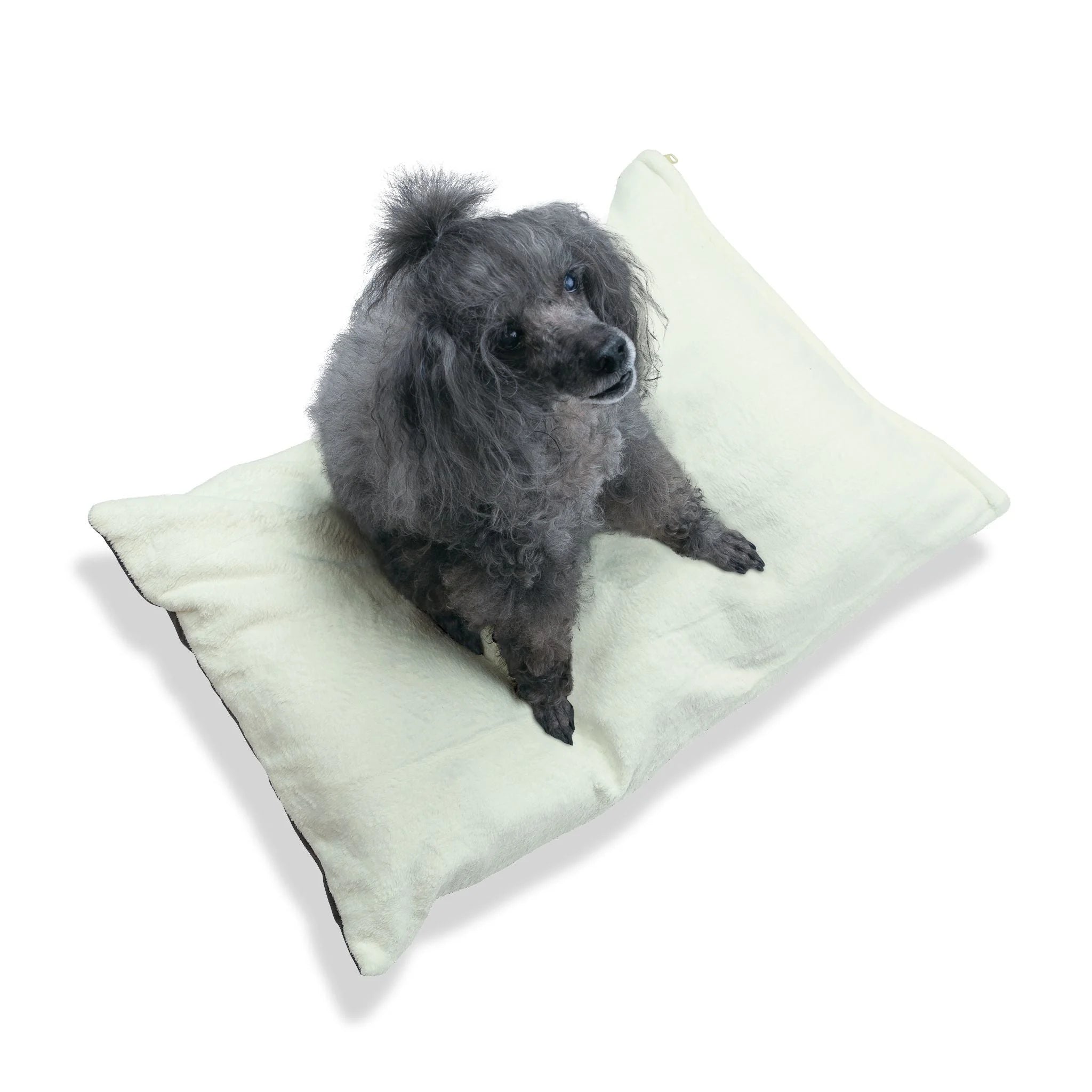 Buy The Best By Artsulli x Color Printify - Pet Bed - 2025
