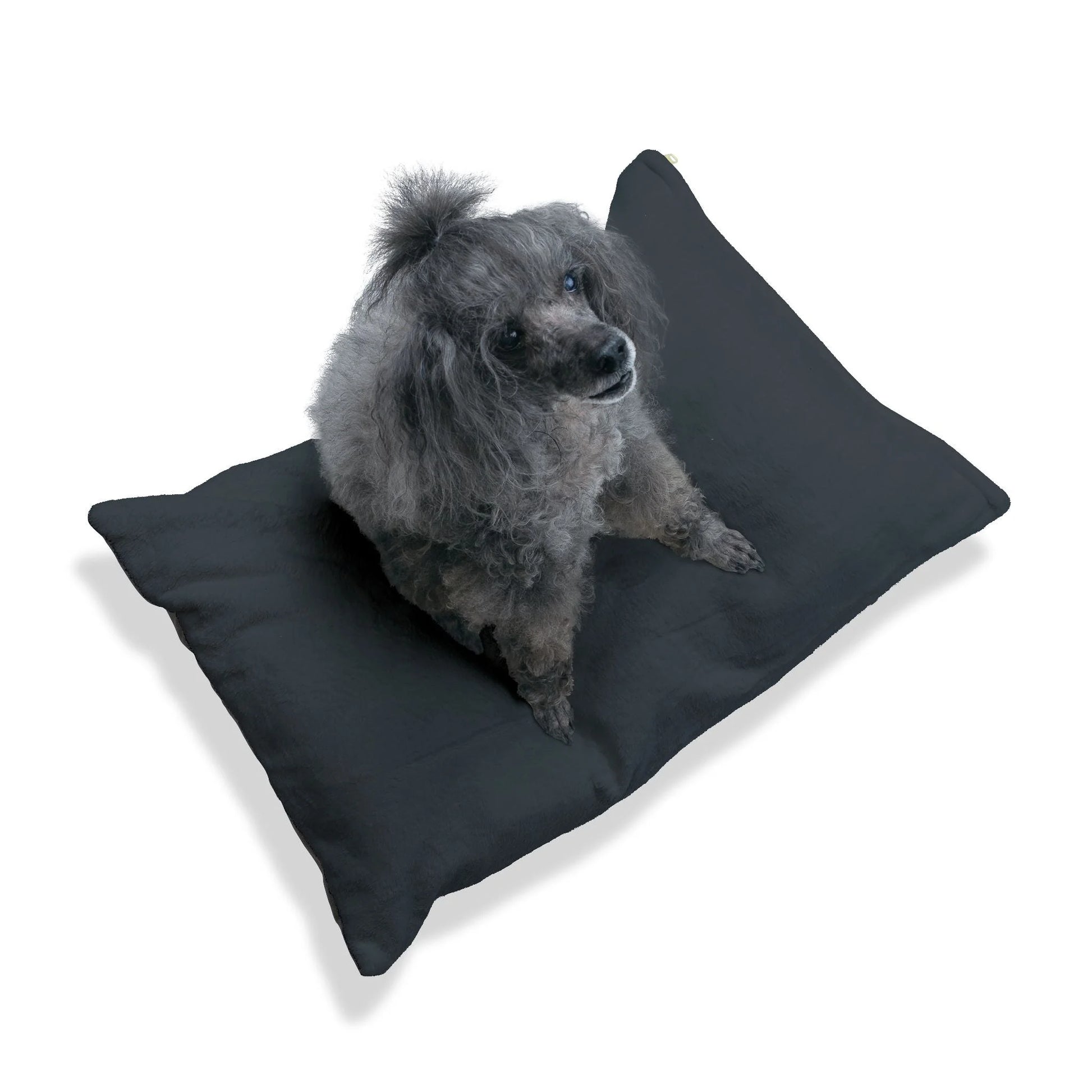 Buy The Best By Artsulli x Color Printify - Pet Bed - 2025
