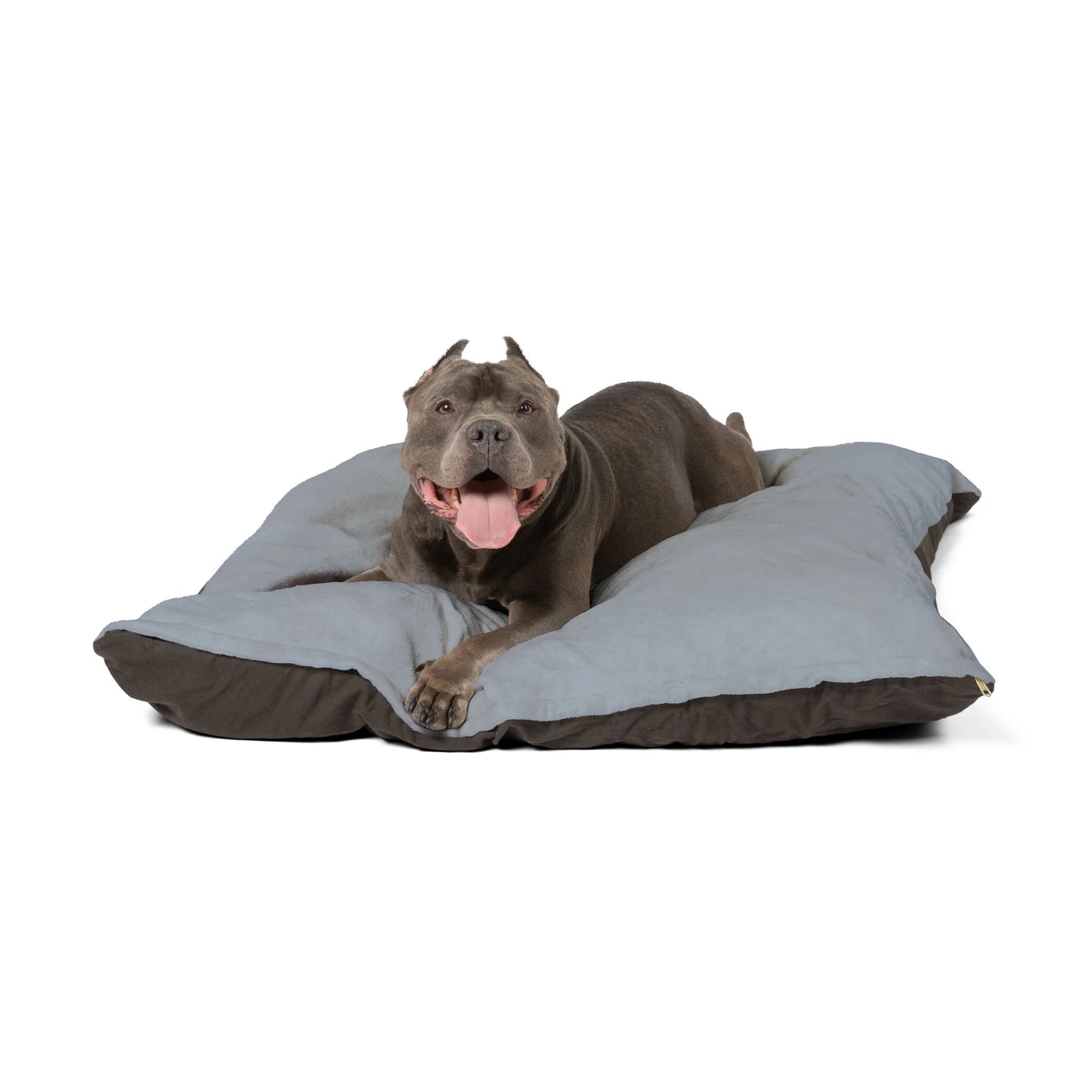 Buy The Best By Artsulli x Color Printify - Pet Bed - 2025