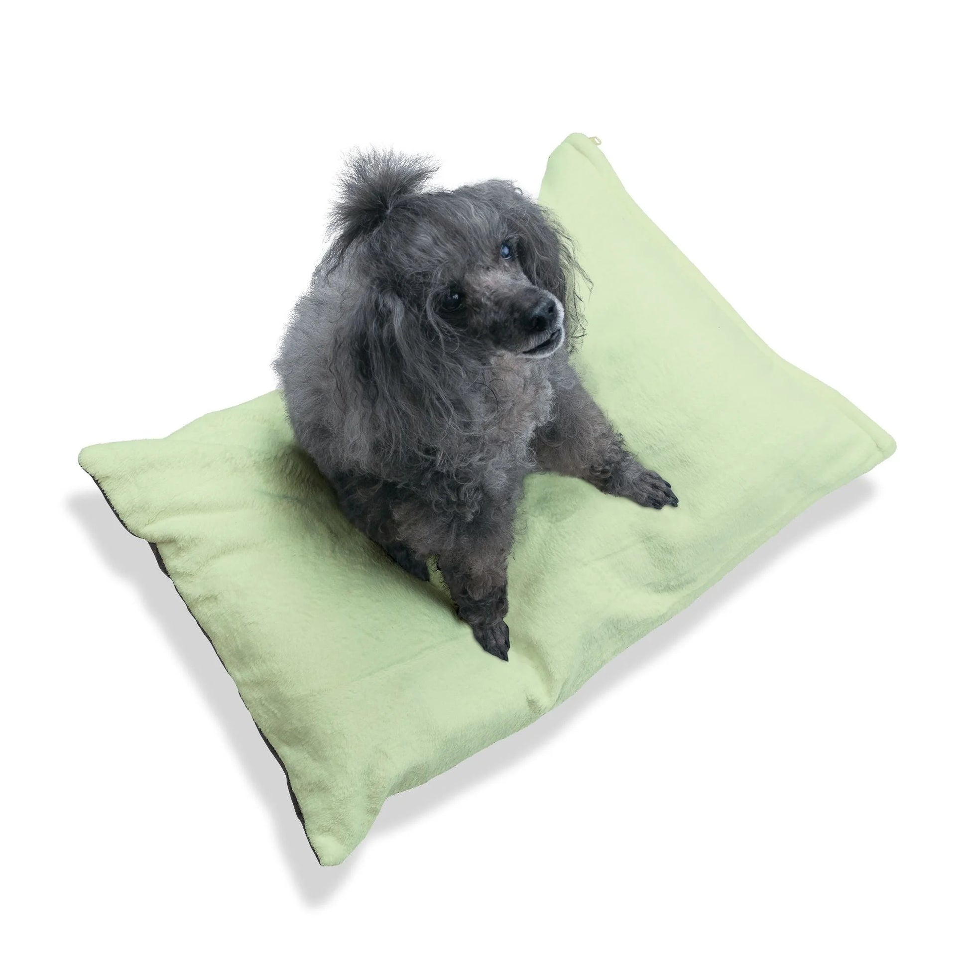 Buy The Best By Artsulli x Color Printify - Pet Bed - 2025