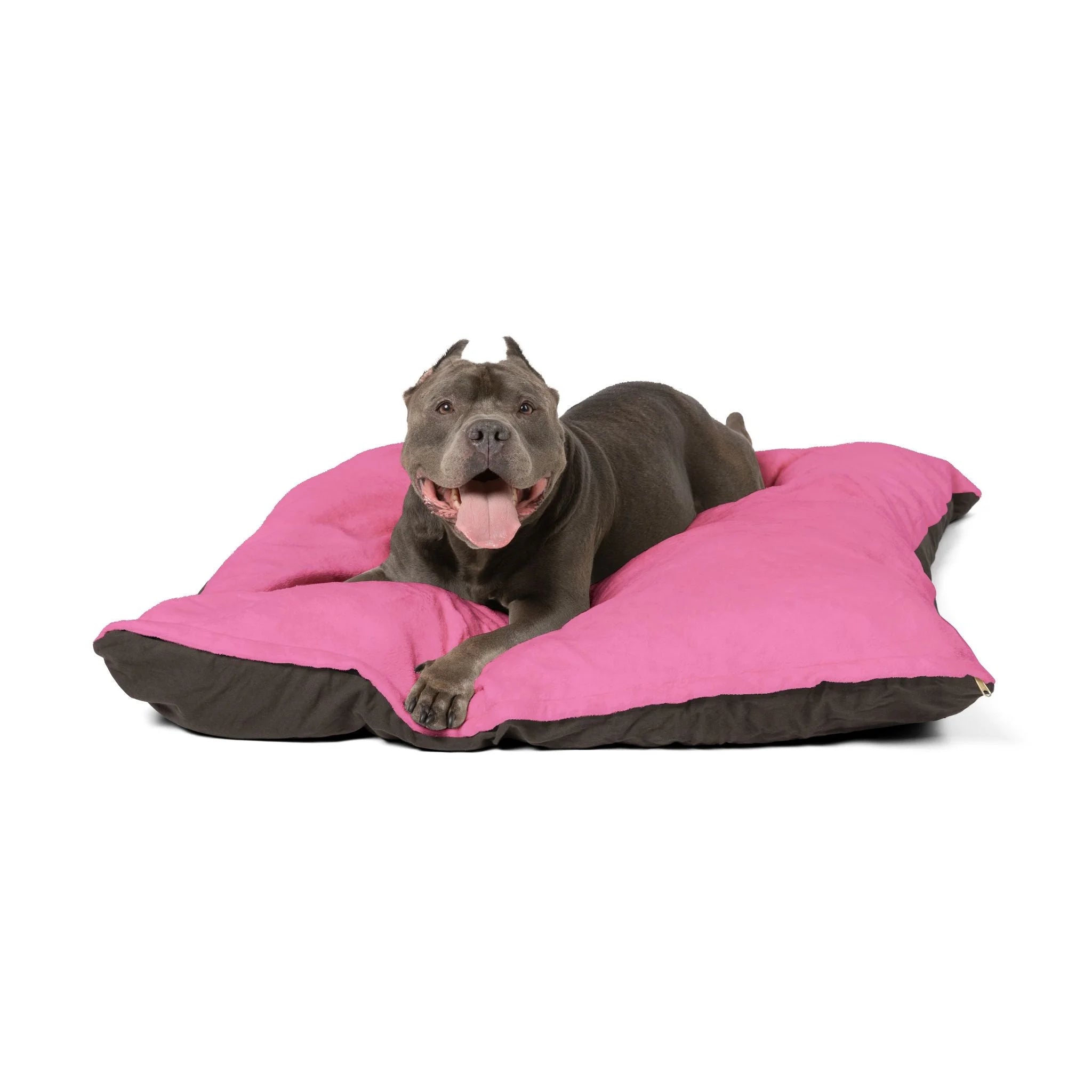 Buy The Best By Artsulli x Color Printify - Pet Bed - 2025