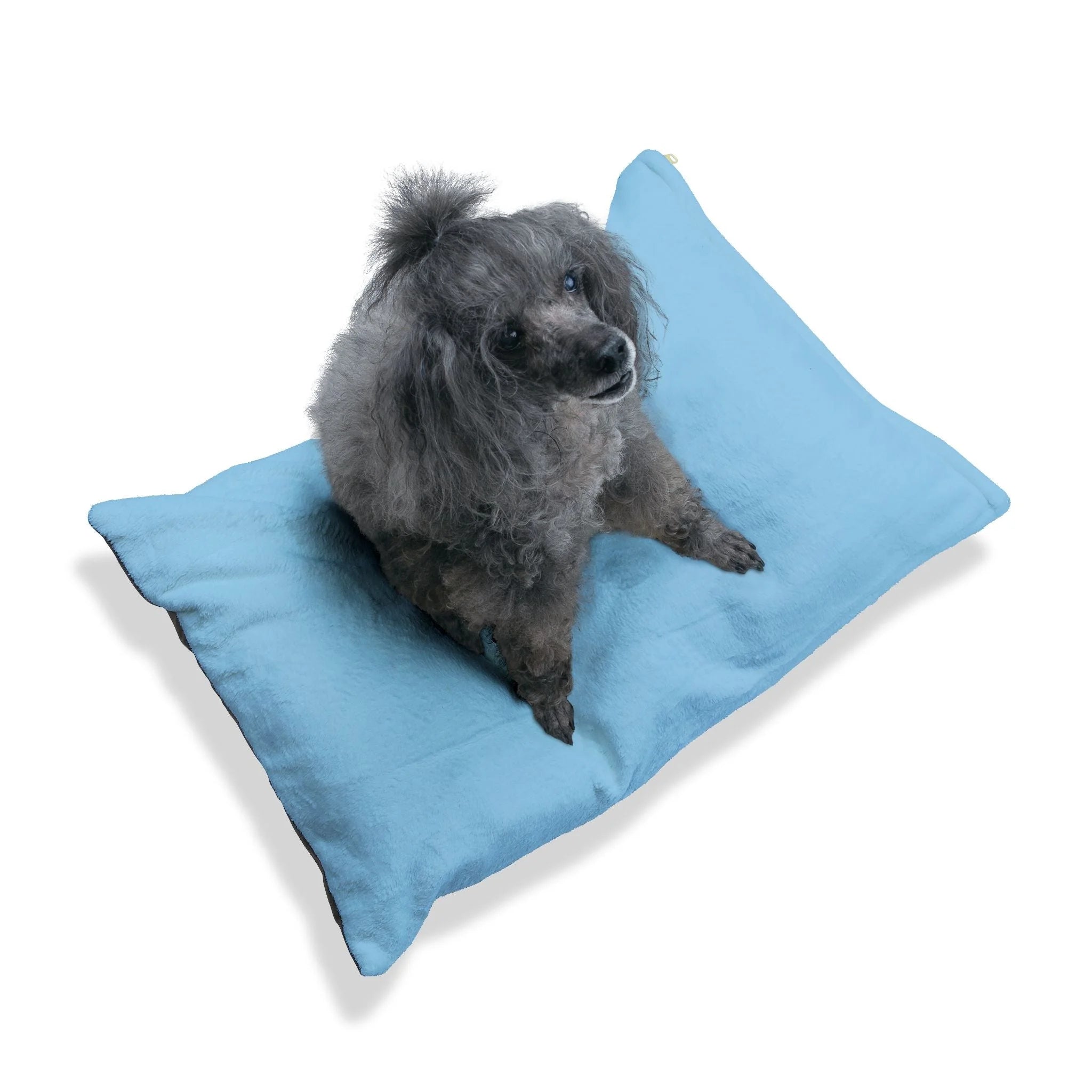 Buy The Best By Artsulli x Color Printify - Pet Bed - 2025