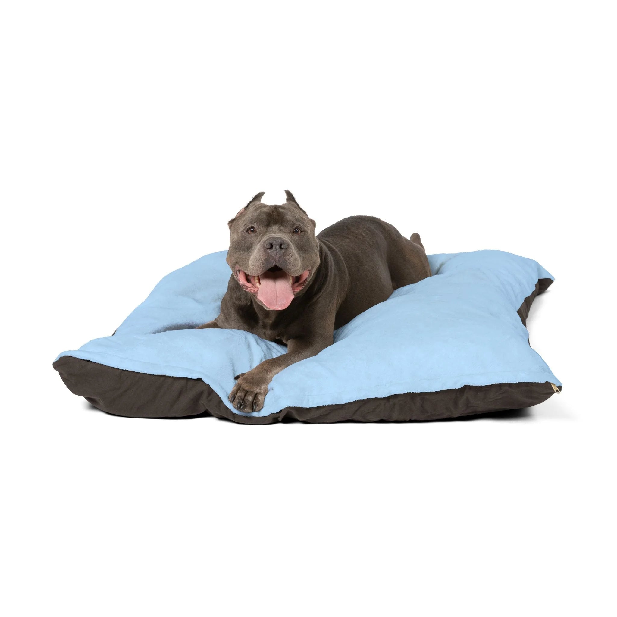Buy The Best By Artsulli x Color Printify - Pet Bed - 2025
