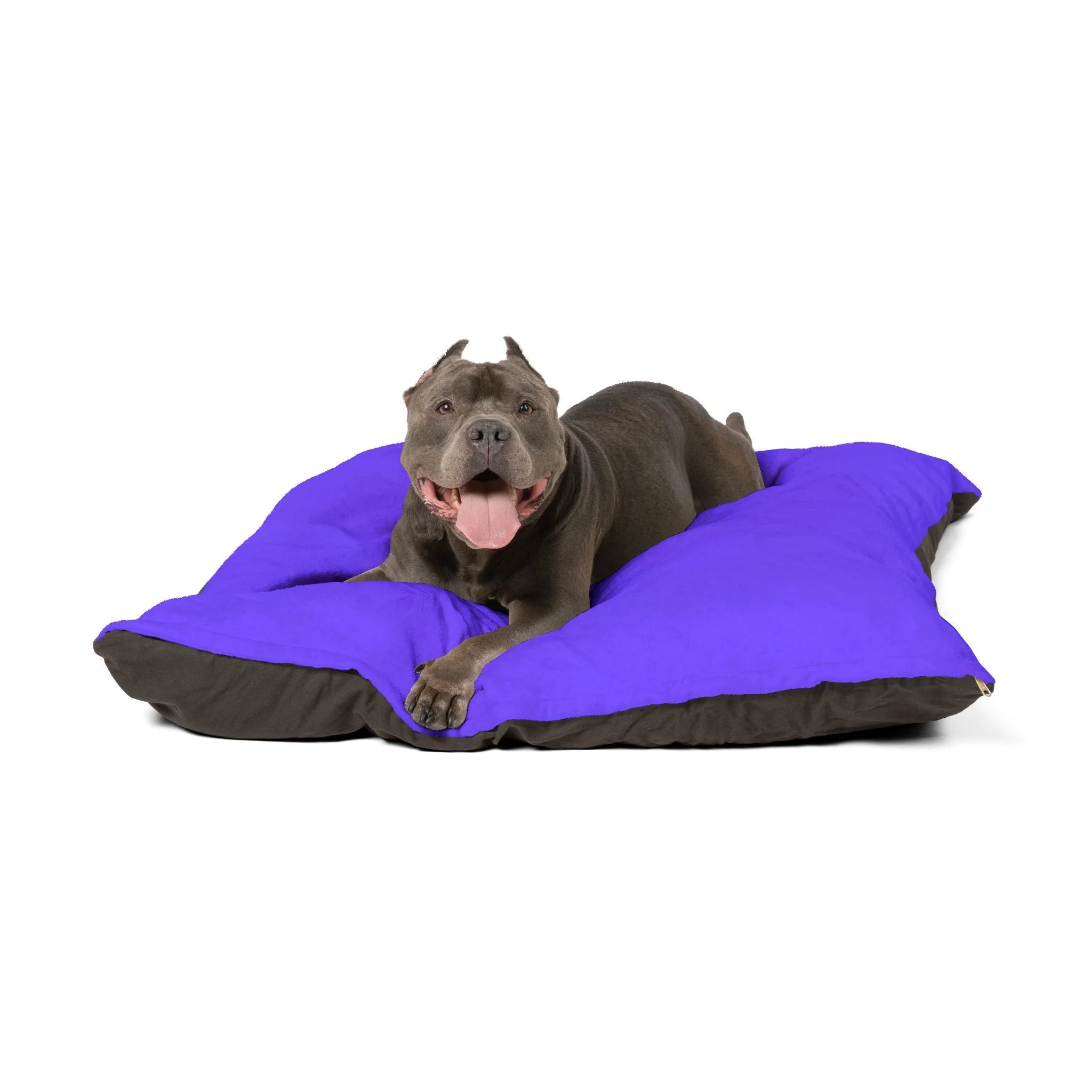 Buy The Best By Artsulli x Color Printify - Pet Bed - 2025