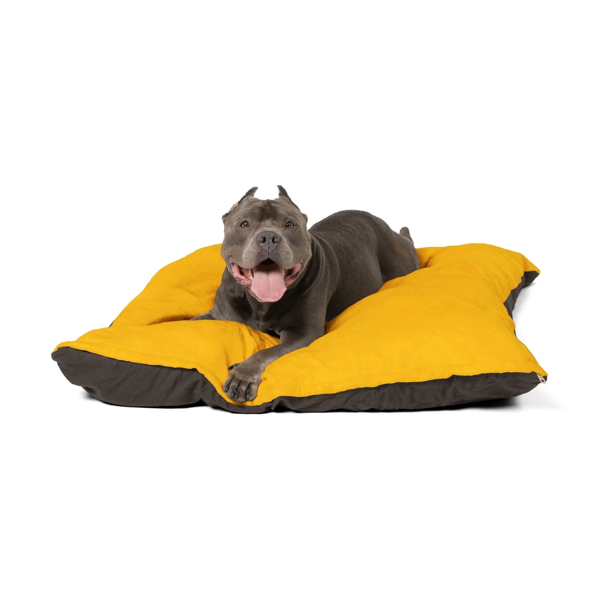 Buy The Best By Artsulli x Color Printify - Pet Bed - 2025