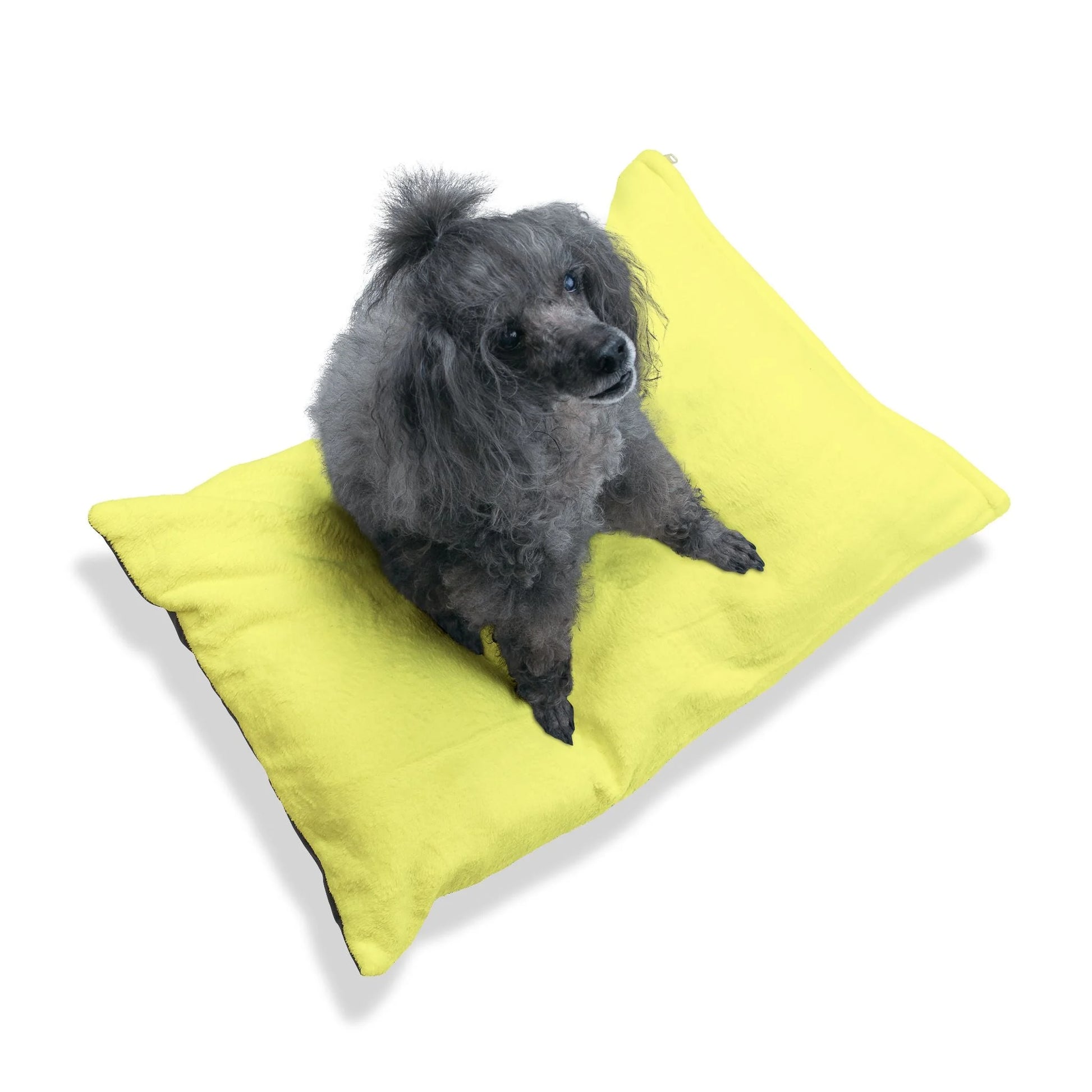 Buy The Best By Artsulli x Color Printify - Pet Bed - 2025