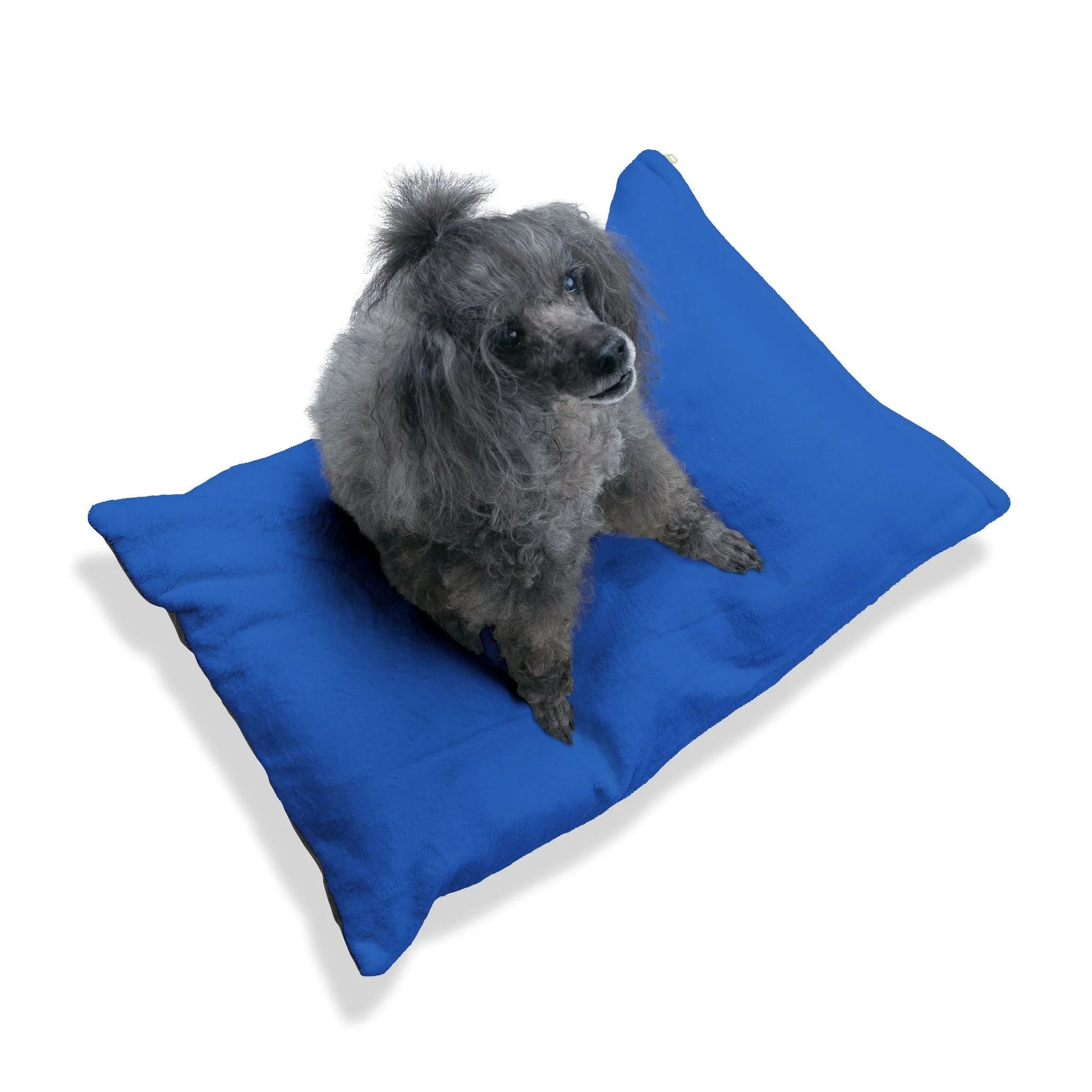 Buy The Best By Artsulli x Color Printify - Pet Bed - 2025