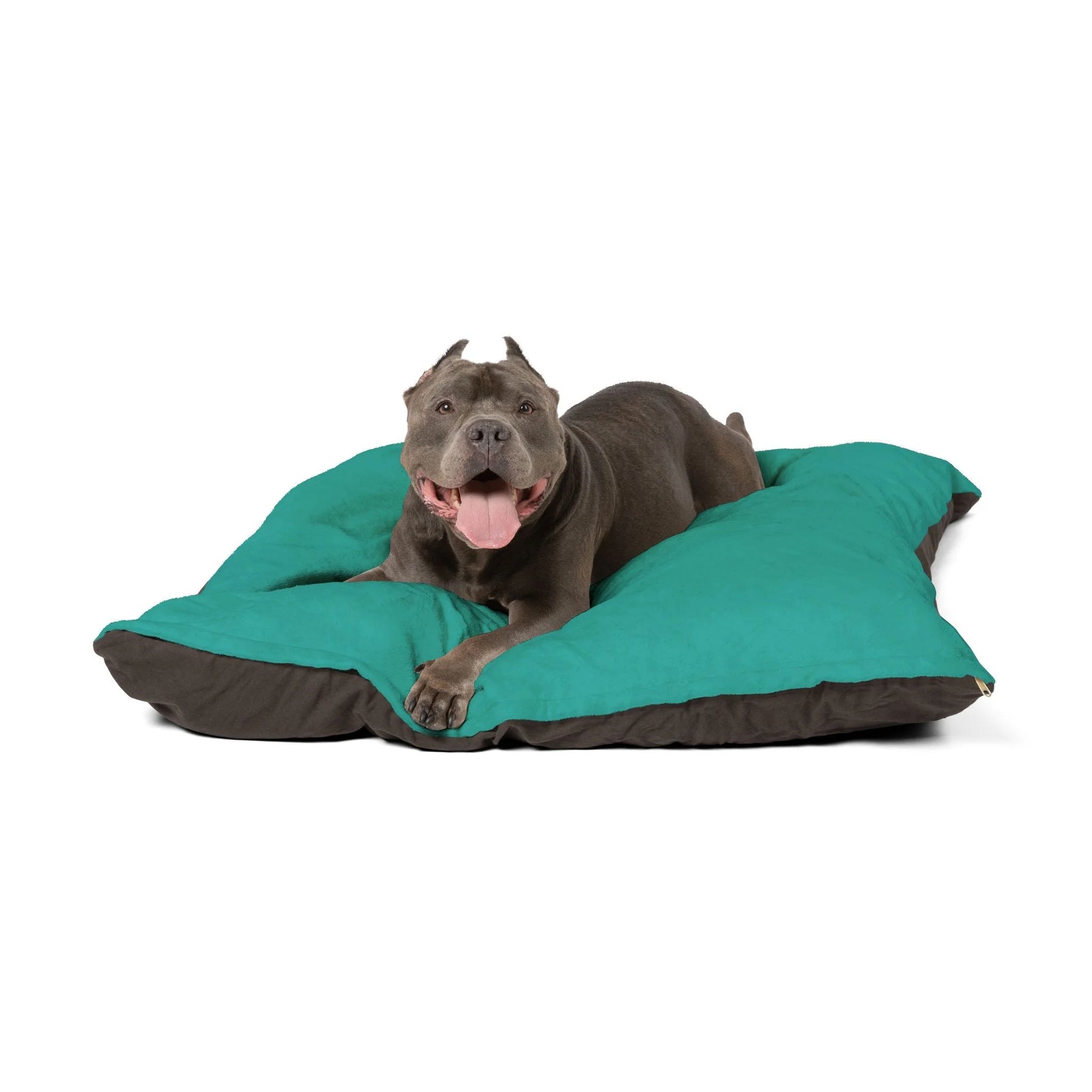 Buy The Best By Artsulli x Color Printify - Pet Bed - 2025