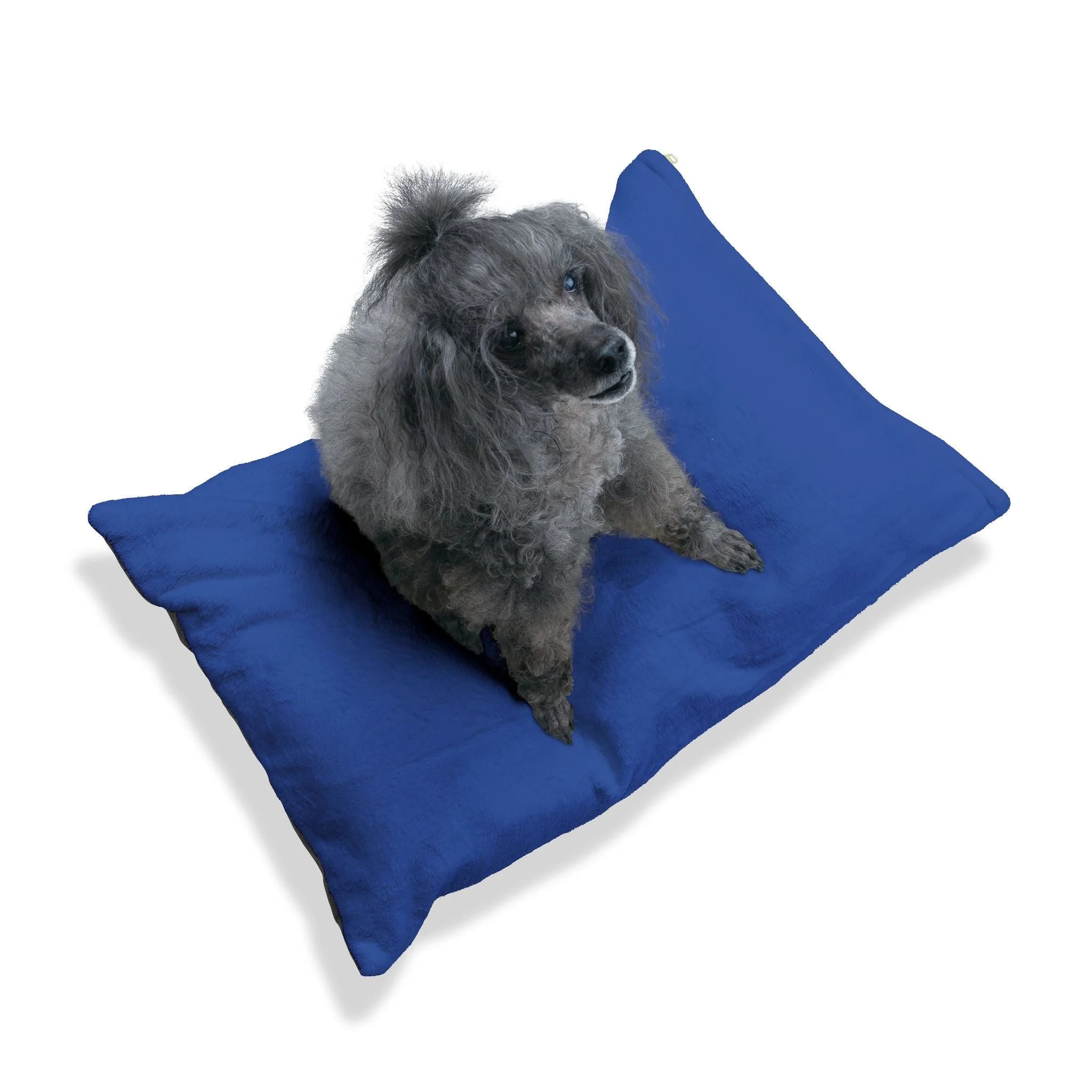 Buy The Best By Artsulli x Color Printify - Pet Bed - 2025
