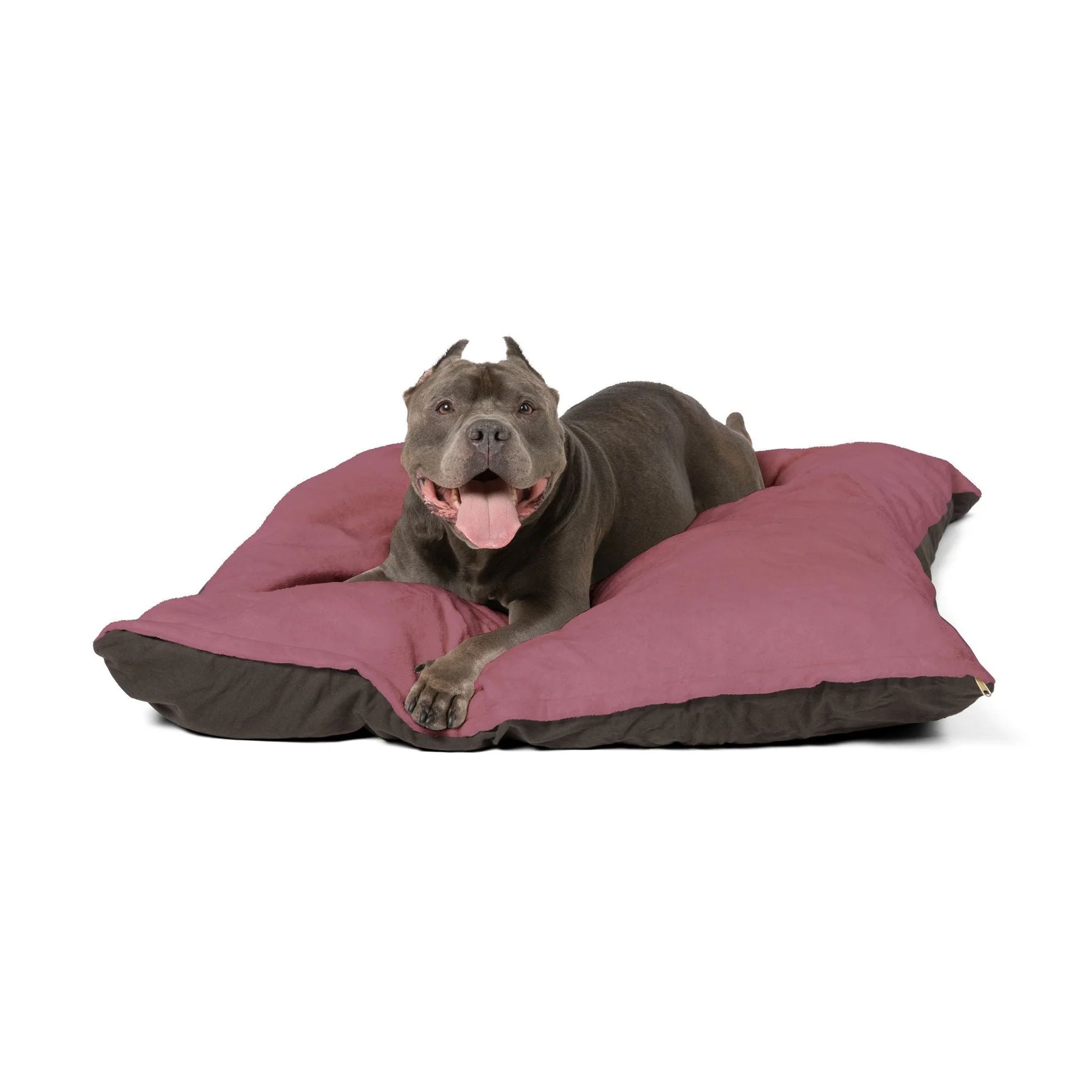 Buy The Best By Printify - Pet Bed - 2025