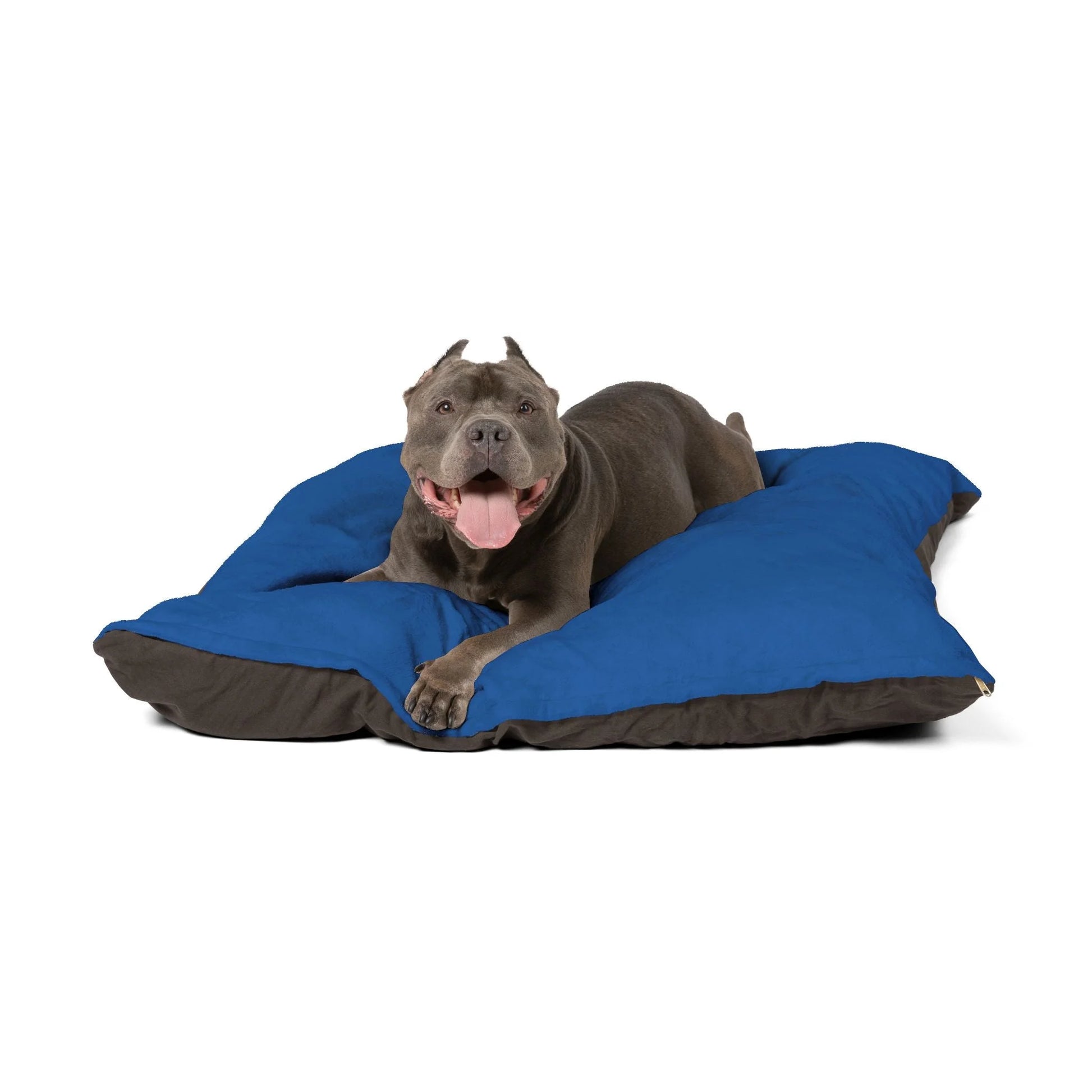 Buy The Best By Artsulli x Color Printify - Pet Bed - 2025