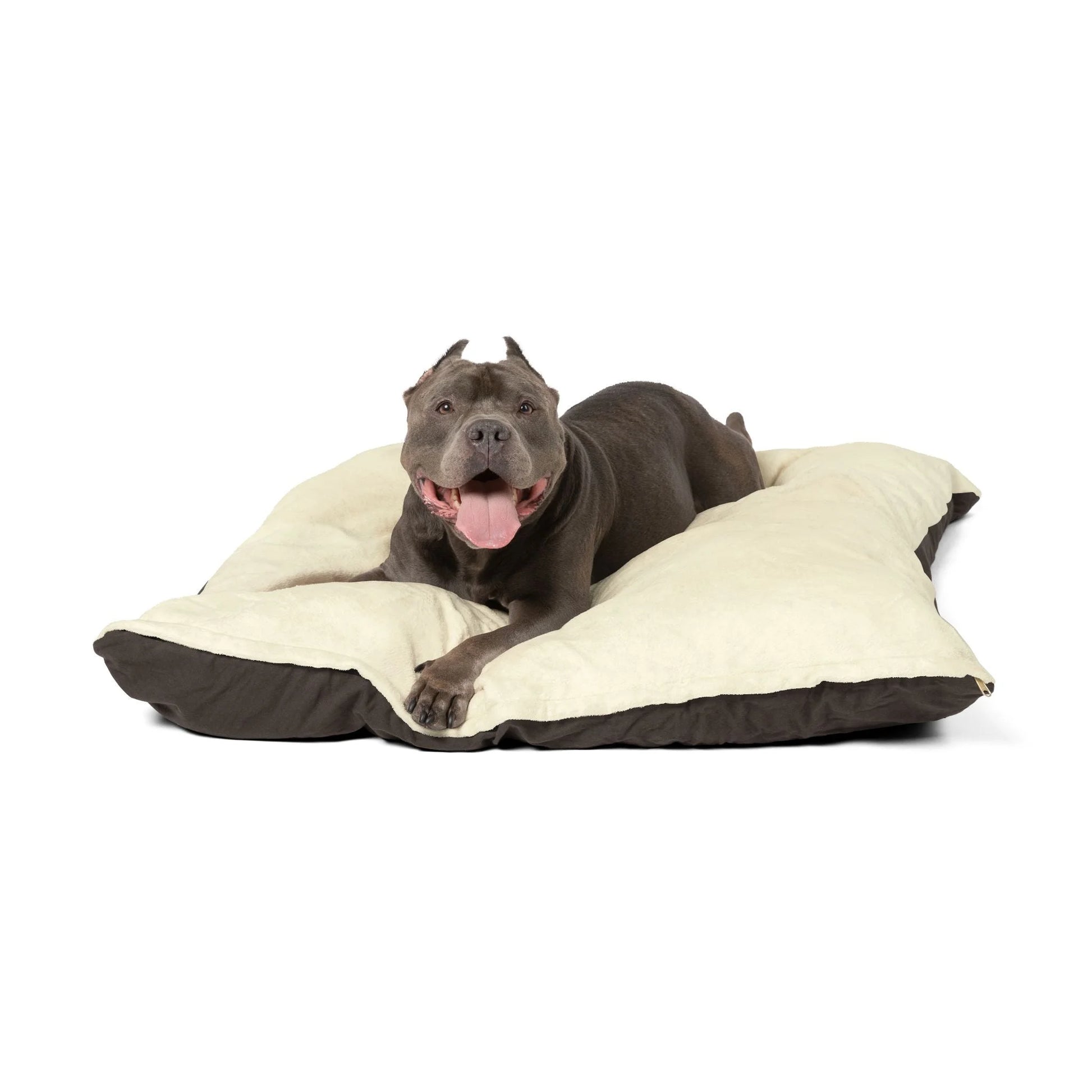 Buy The Best By Artsulli x Color Printify - Pet Bed - 2025