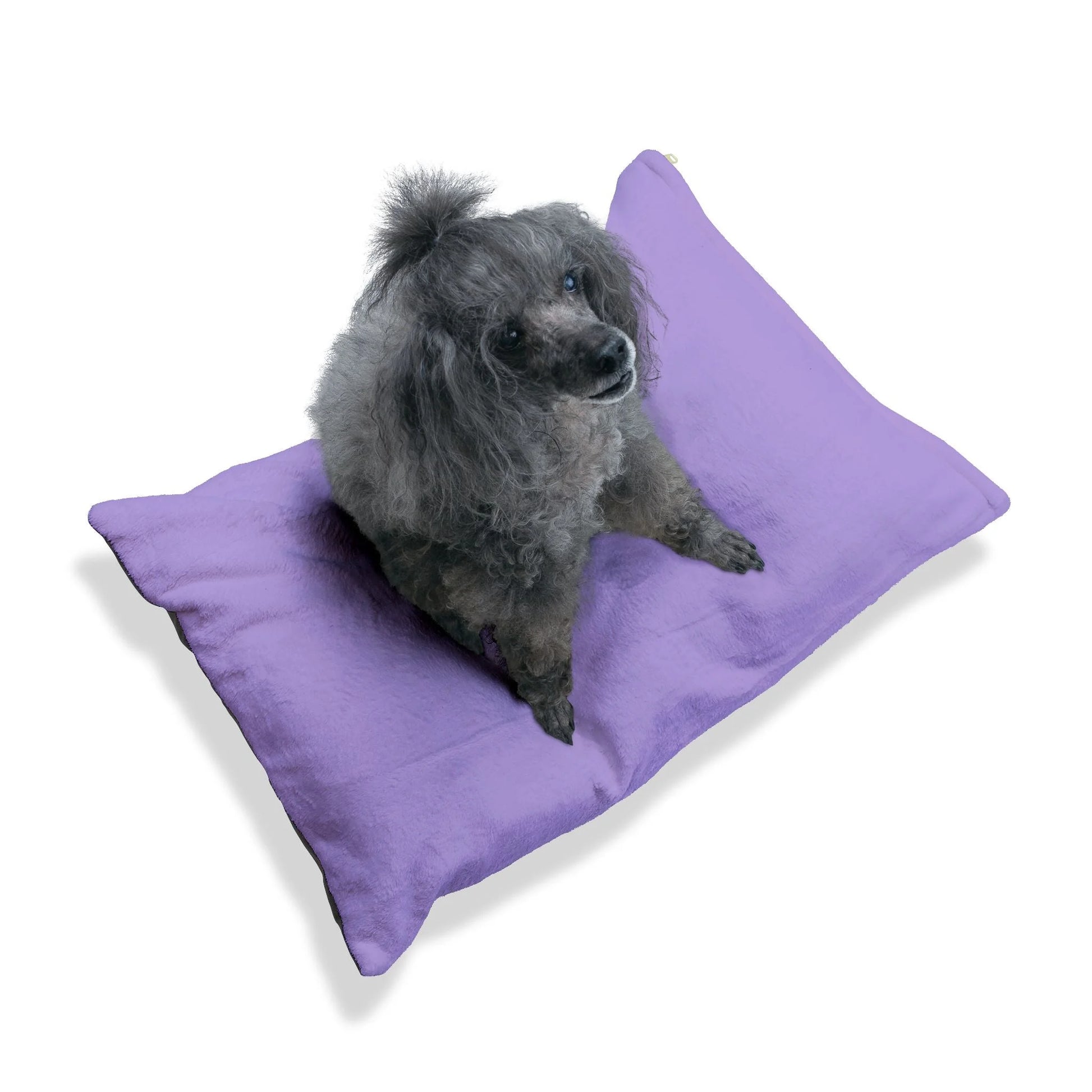 Buy The Best By Artsulli x Color Printify - Pet Bed - 2025