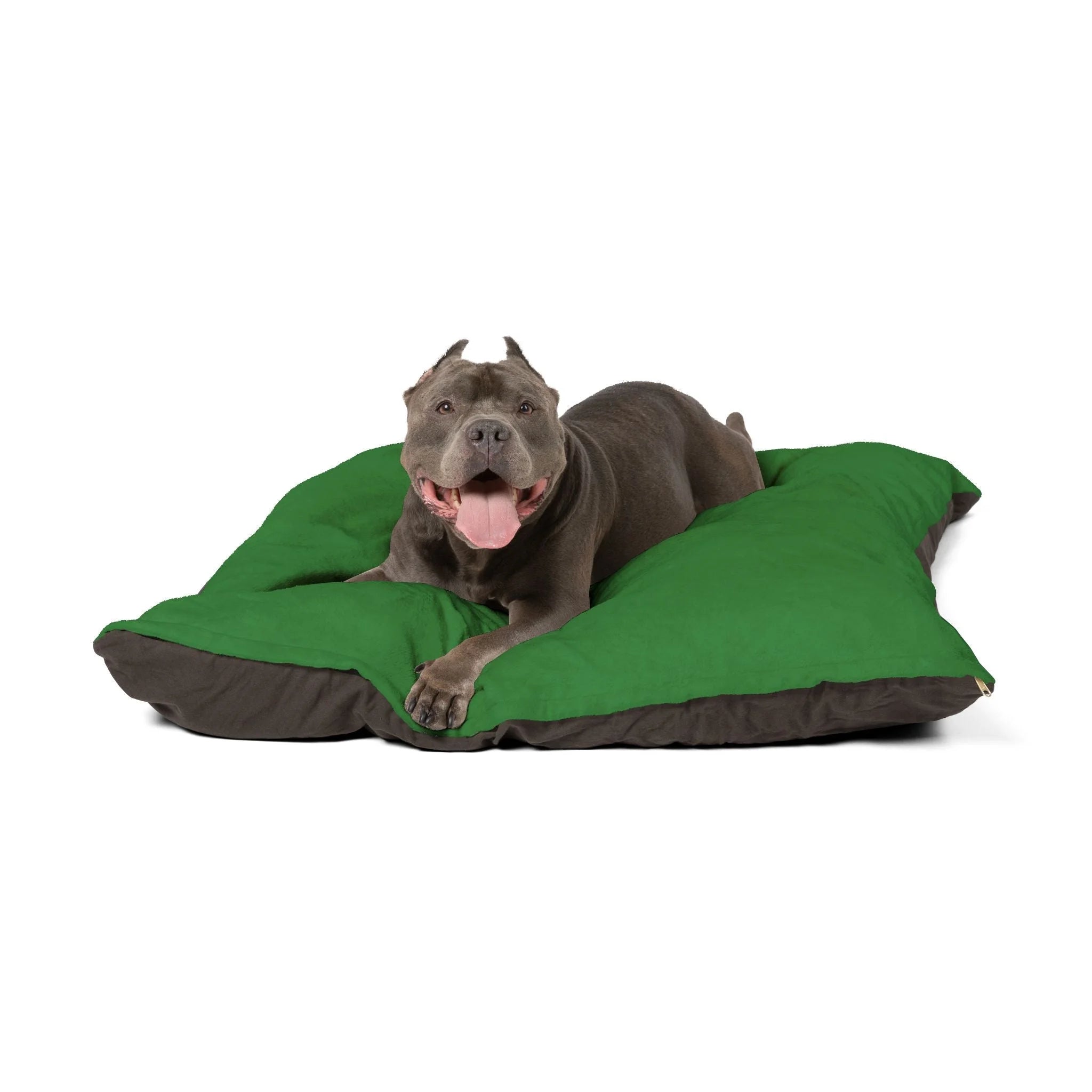Buy The Best By Artsulli x Color Printify - Pet Bed - 2025