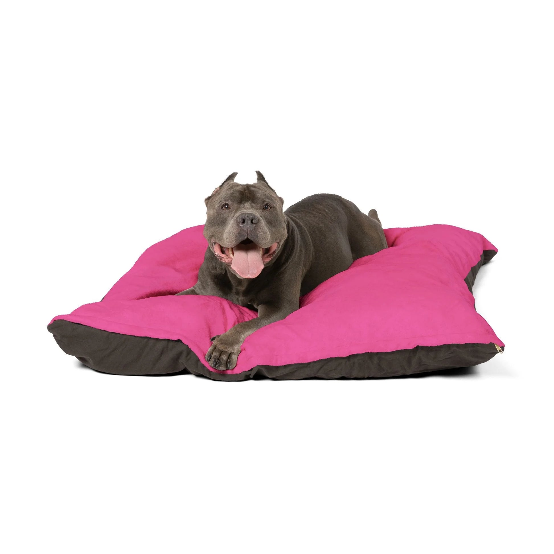 Buy The Best By Artsulli x Color Printify - Pet Bed - 2025