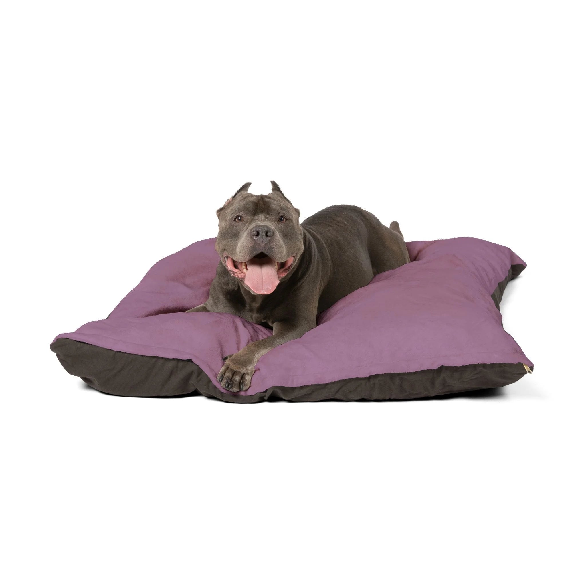 Buy The Best By Printify - Pet Bed - 2025