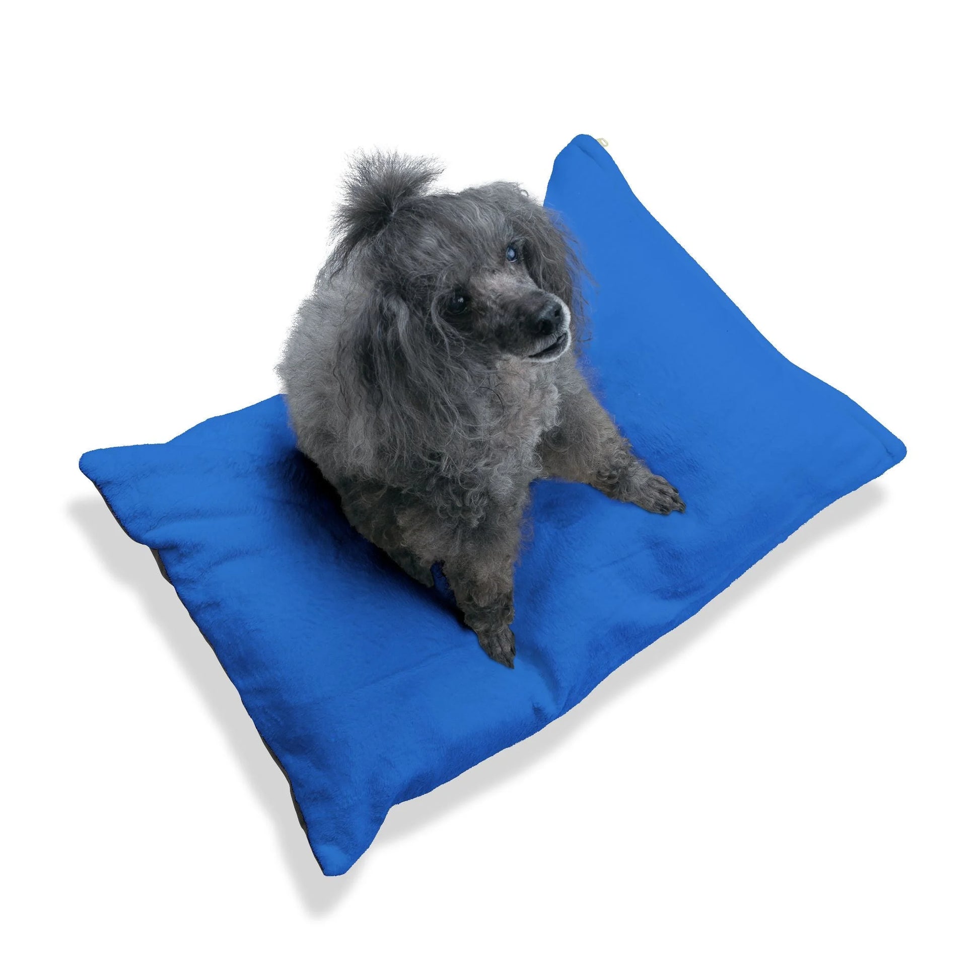 Buy The Best By Artsulli x Color Printify - Pet Bed - 2025