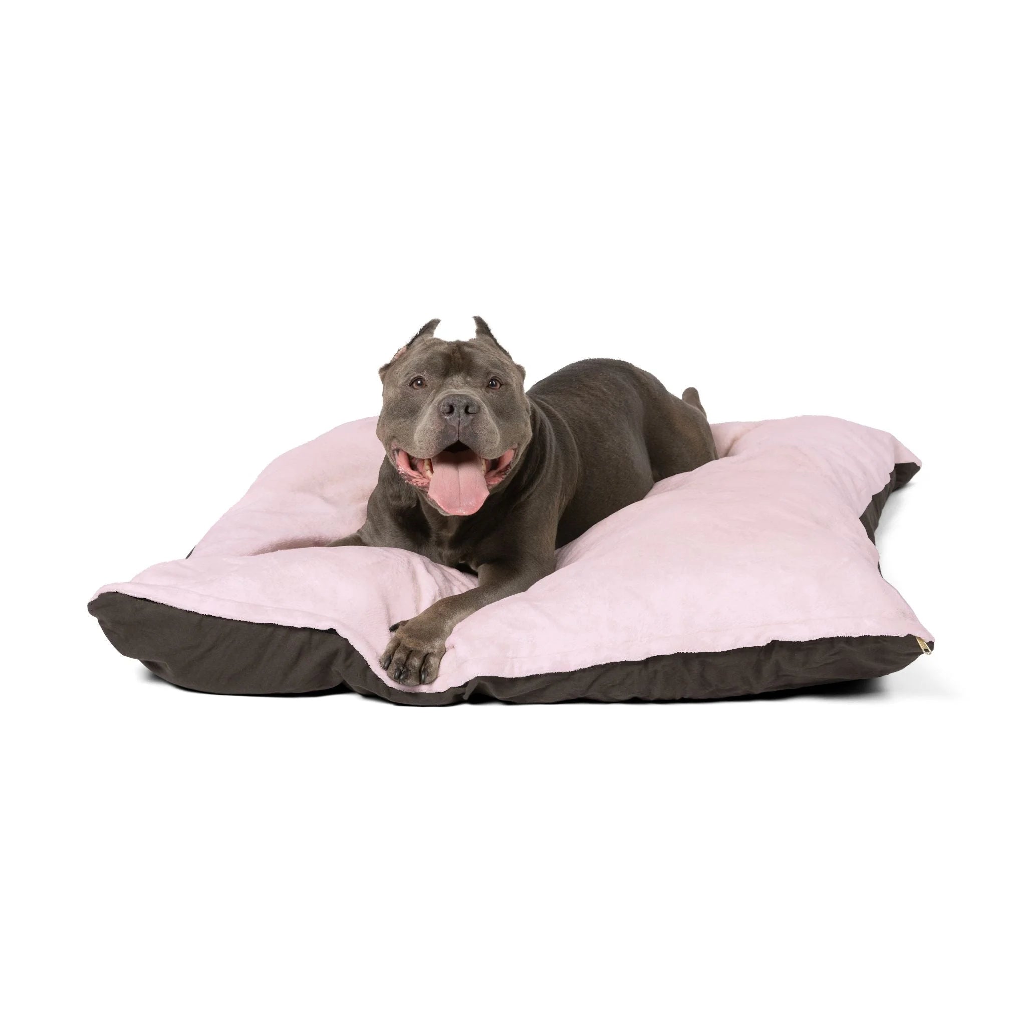 Buy The Best By Artsulli x Color Printify - Pet Bed - 2025