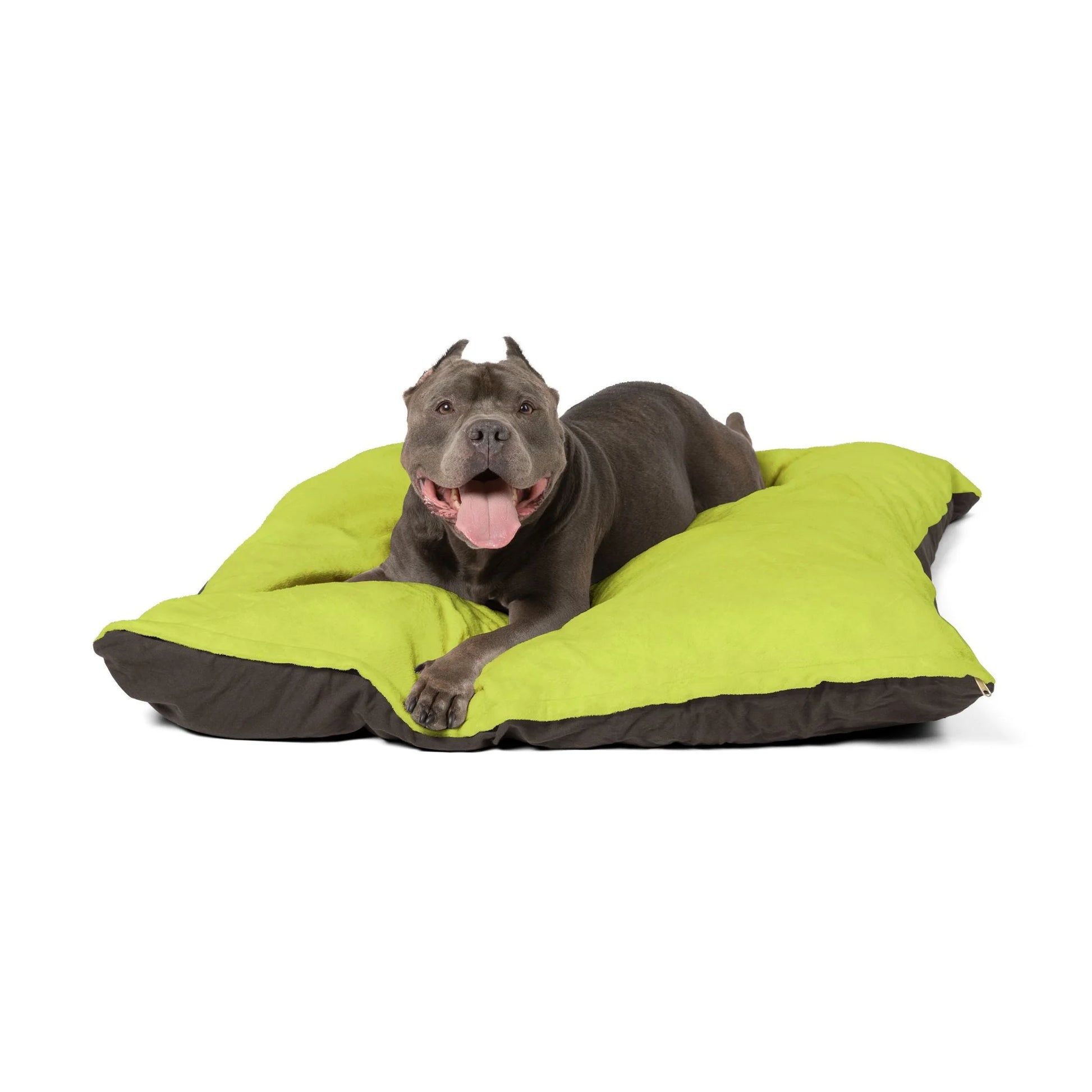 Buy The Best By Artsulli x Color Printify - Pet Bed - 2025