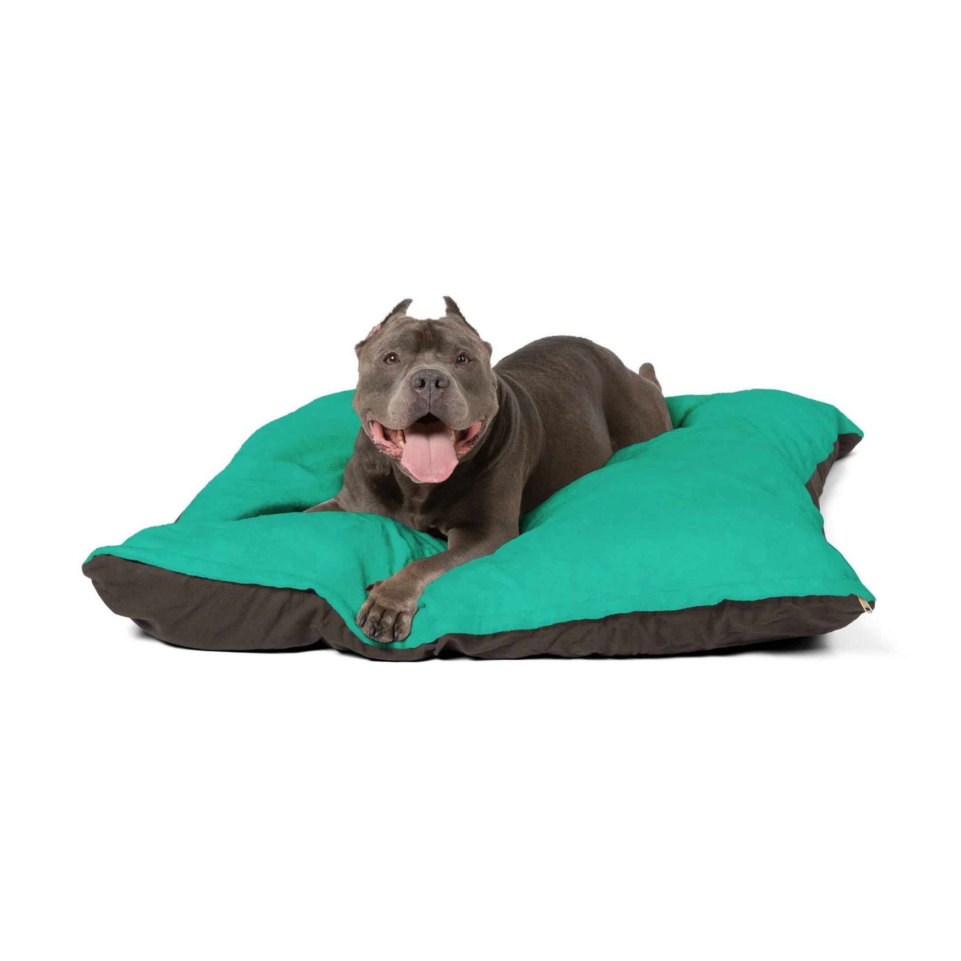 Buy The Best By Artsulli x Color Printify - Pet Bed - 2025