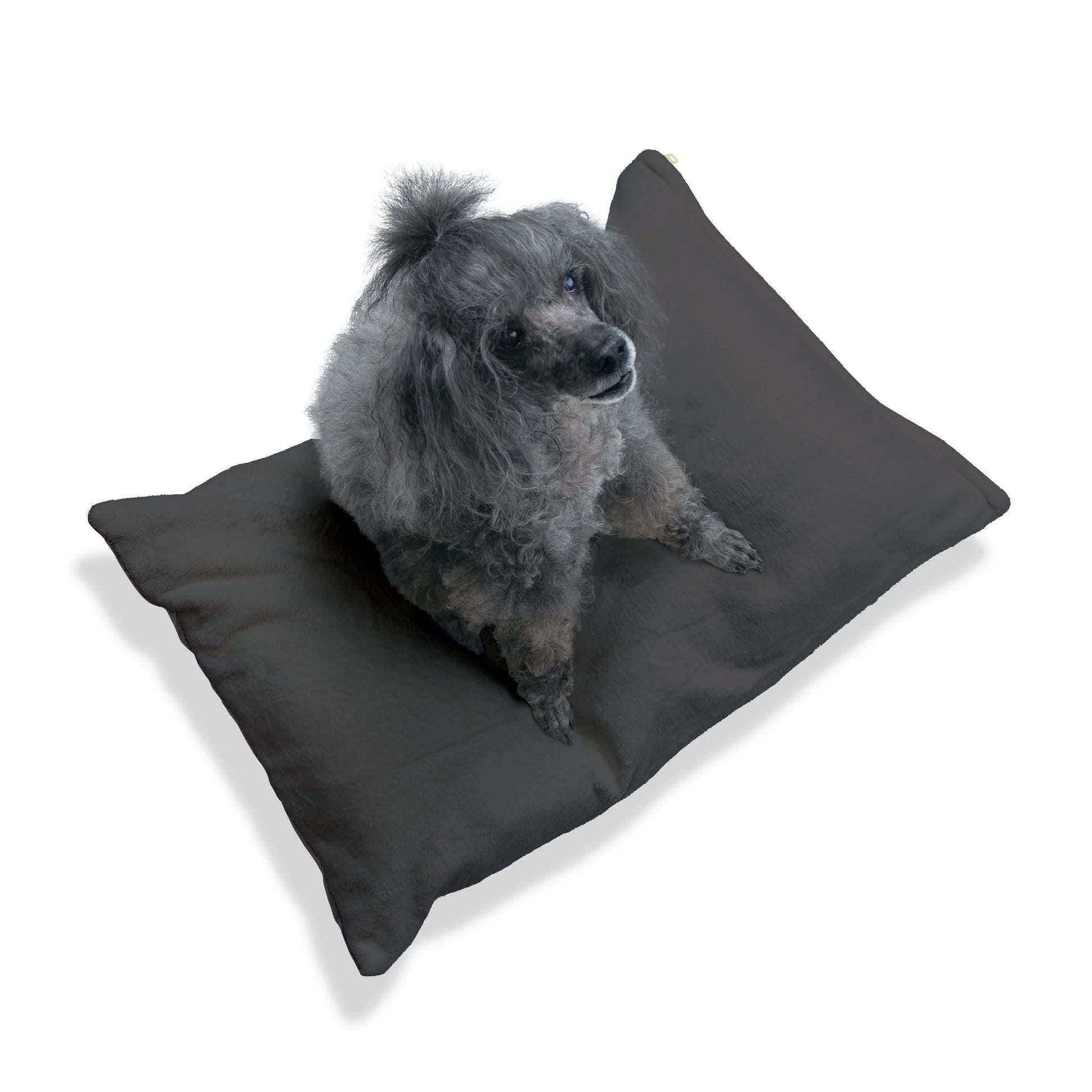 Buy The Best By Artsulli x Color Printify - Pet Bed - 2025