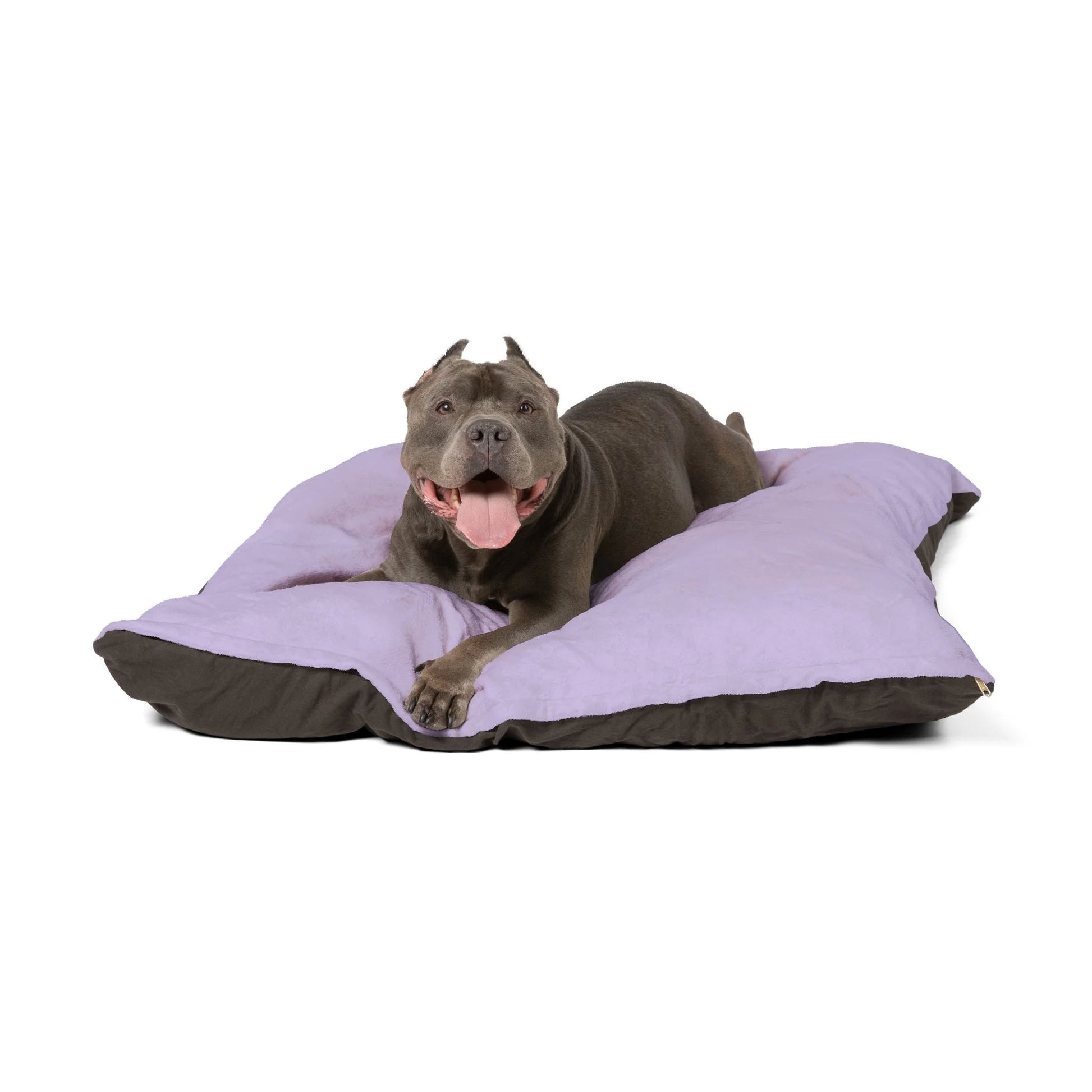 Buy The Best By Artsulli x Color Printify - Pet Bed - 2025