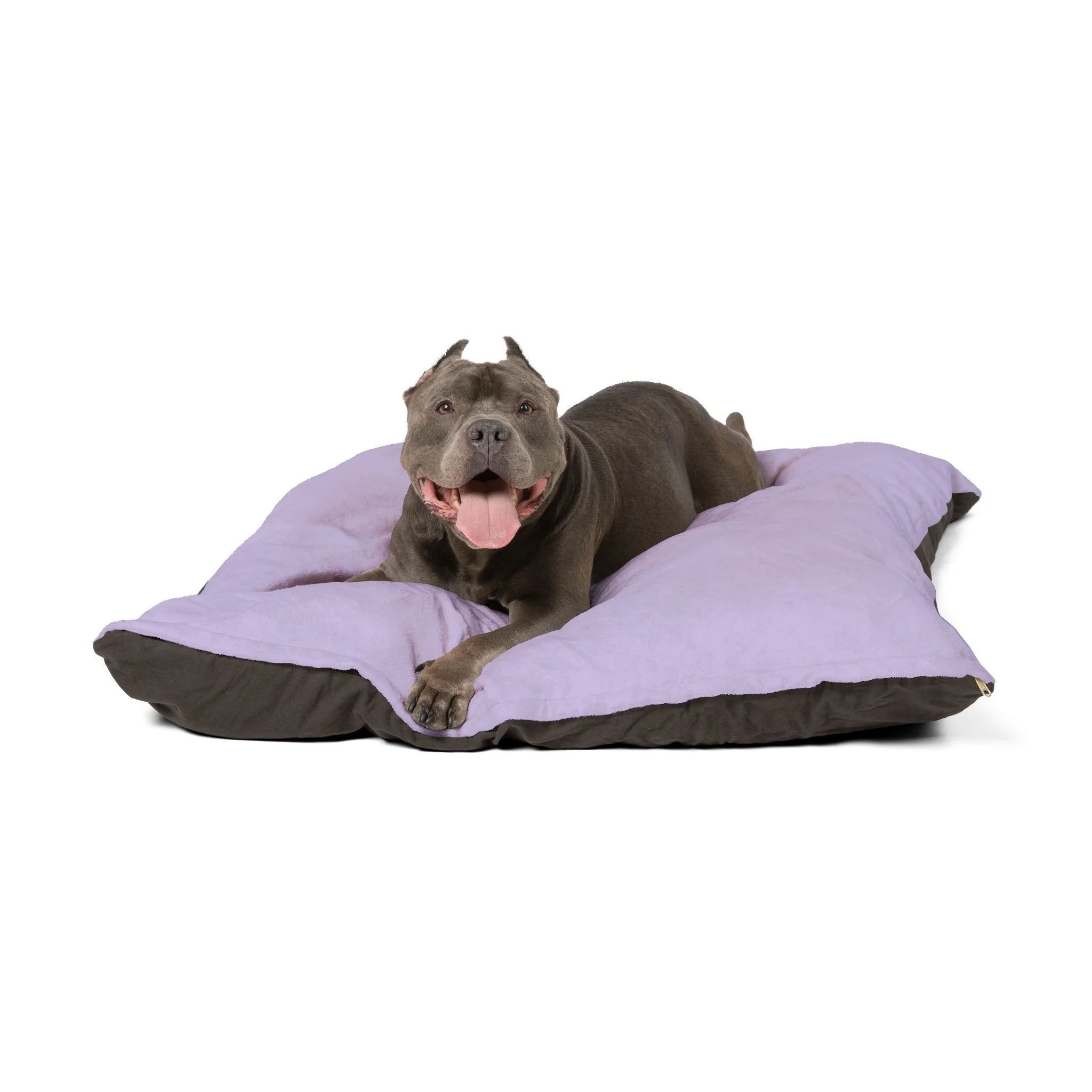 Buy The Best By Artsulli x Color Printify - Pet Bed - 2025