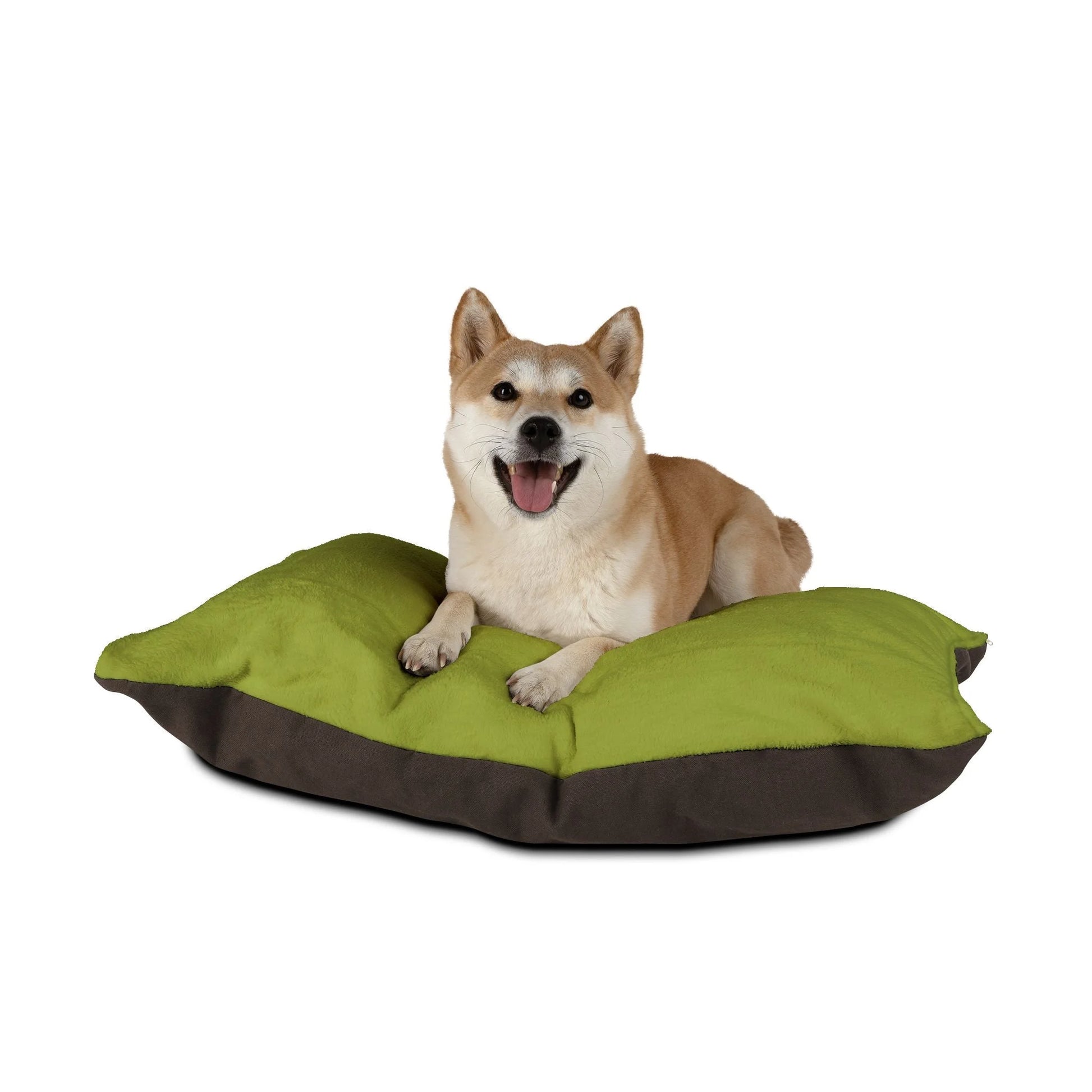 Buy The Best By Artsulli x Color Printify - Pet Bed - 2025
