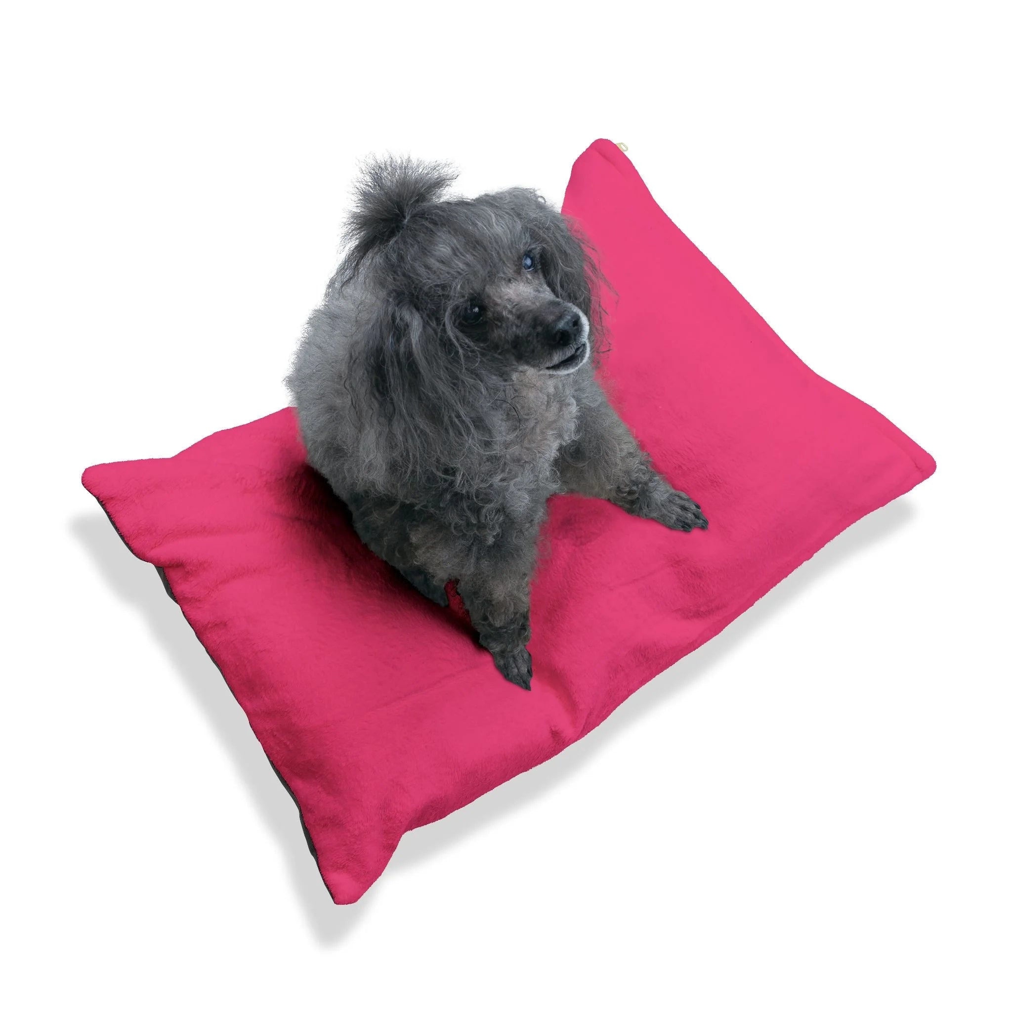 Buy The Best By Artsulli x Color Printify - Pet Bed - 2025