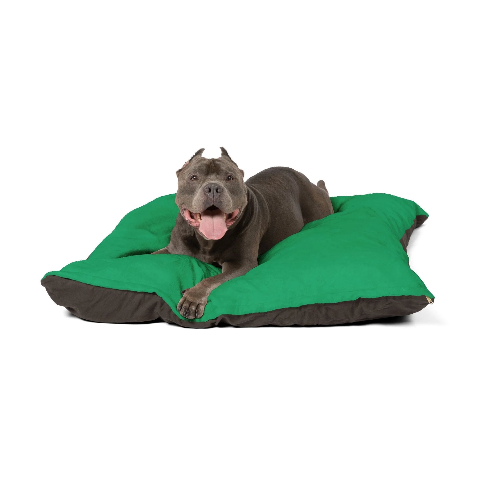 Buy The Best By Artsulli x Color Printify - Pet Bed - 2025
