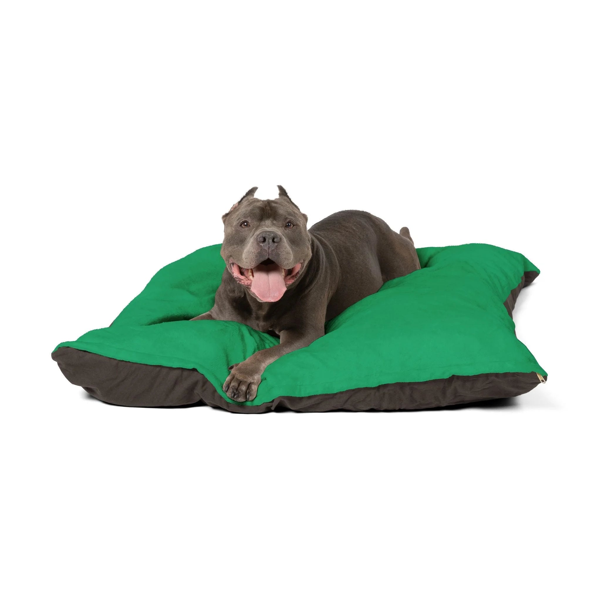 Buy The Best By Artsulli x Color Printify - Pet Bed - 2025