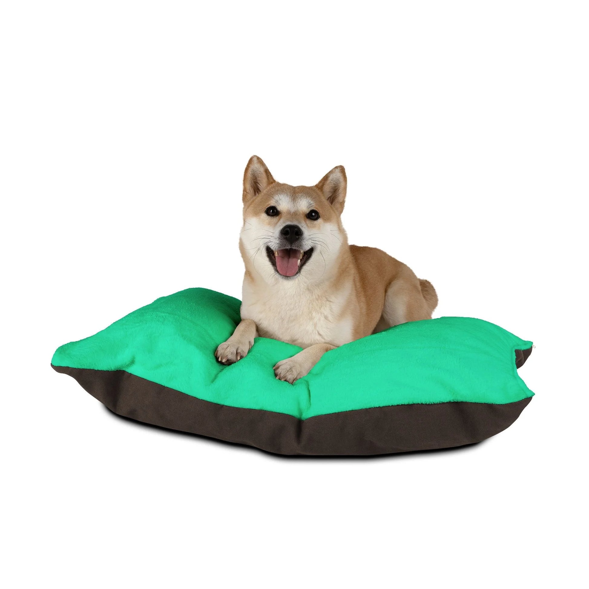 Buy The Best By Artsulli x Color Printify - Pet Bed - 2025