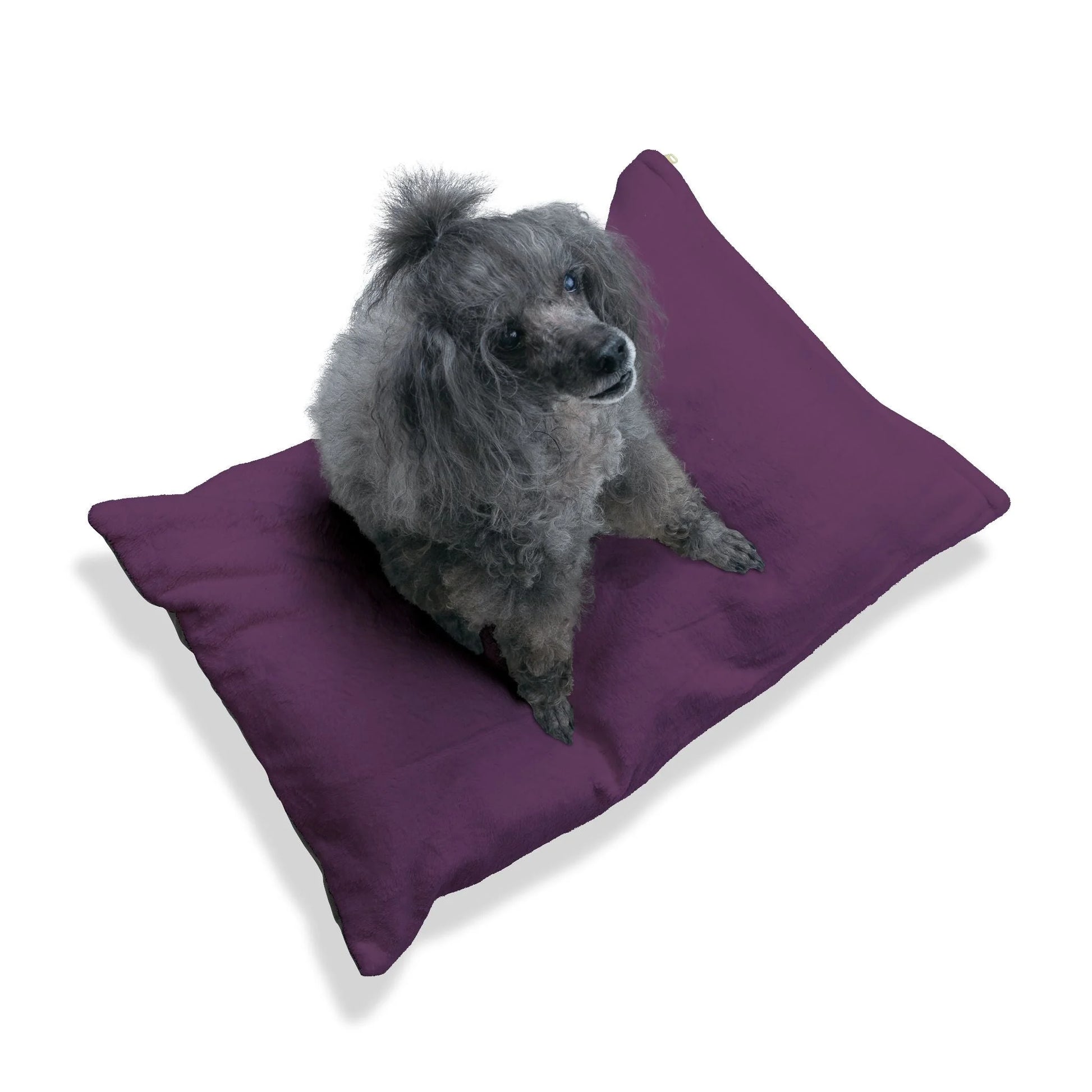 Buy The Best By Artsulli x Color Printify - Pet Bed - 2025