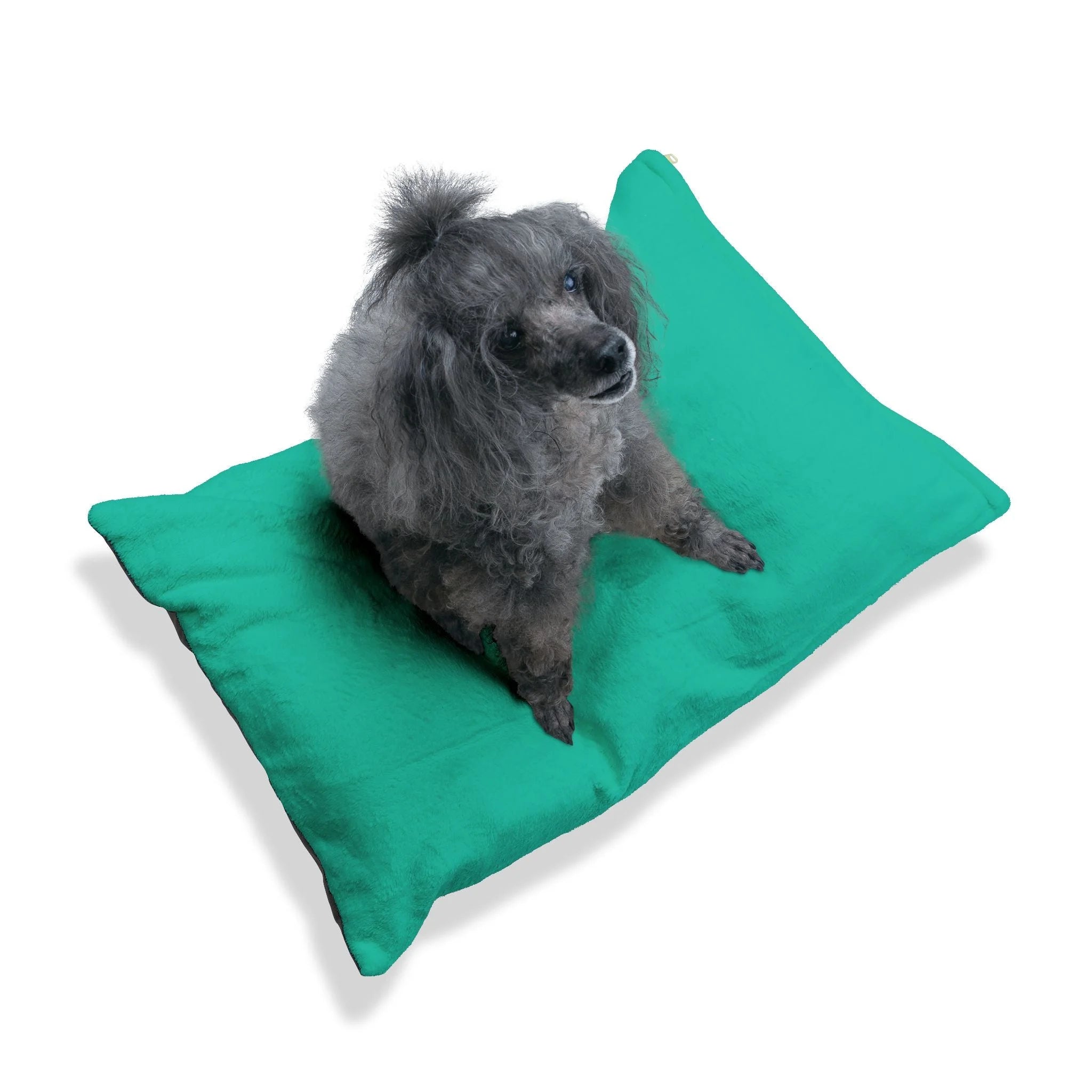 Buy The Best By Artsulli x Color Printify - Pet Bed - 2025